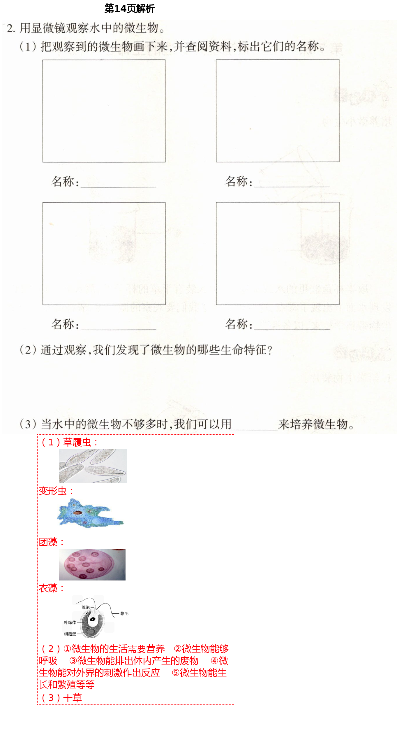 2021年導(dǎo)學(xué)新作業(yè)六年級(jí)科學(xué)下冊(cè)教科版 第14頁