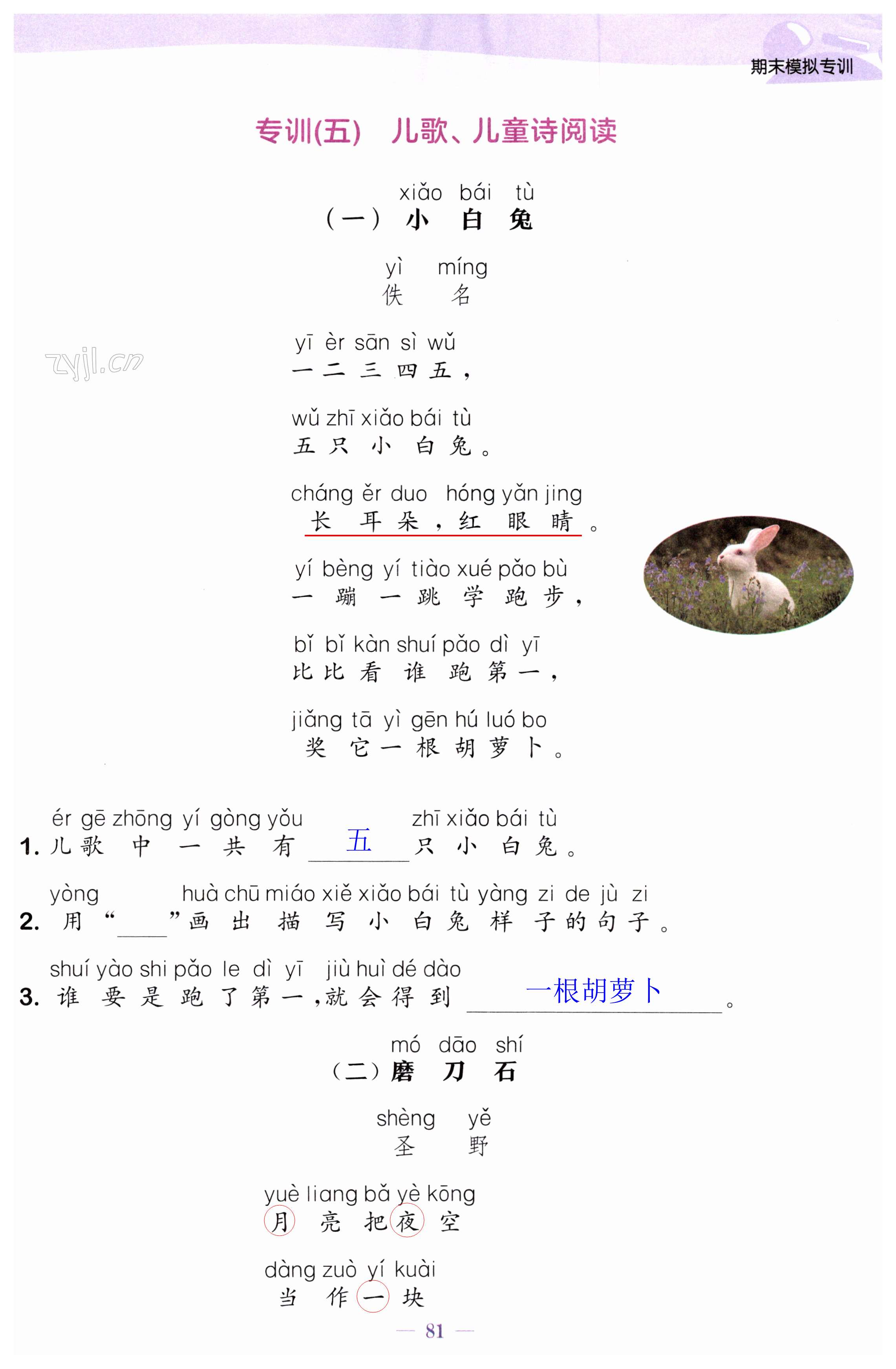 第81页