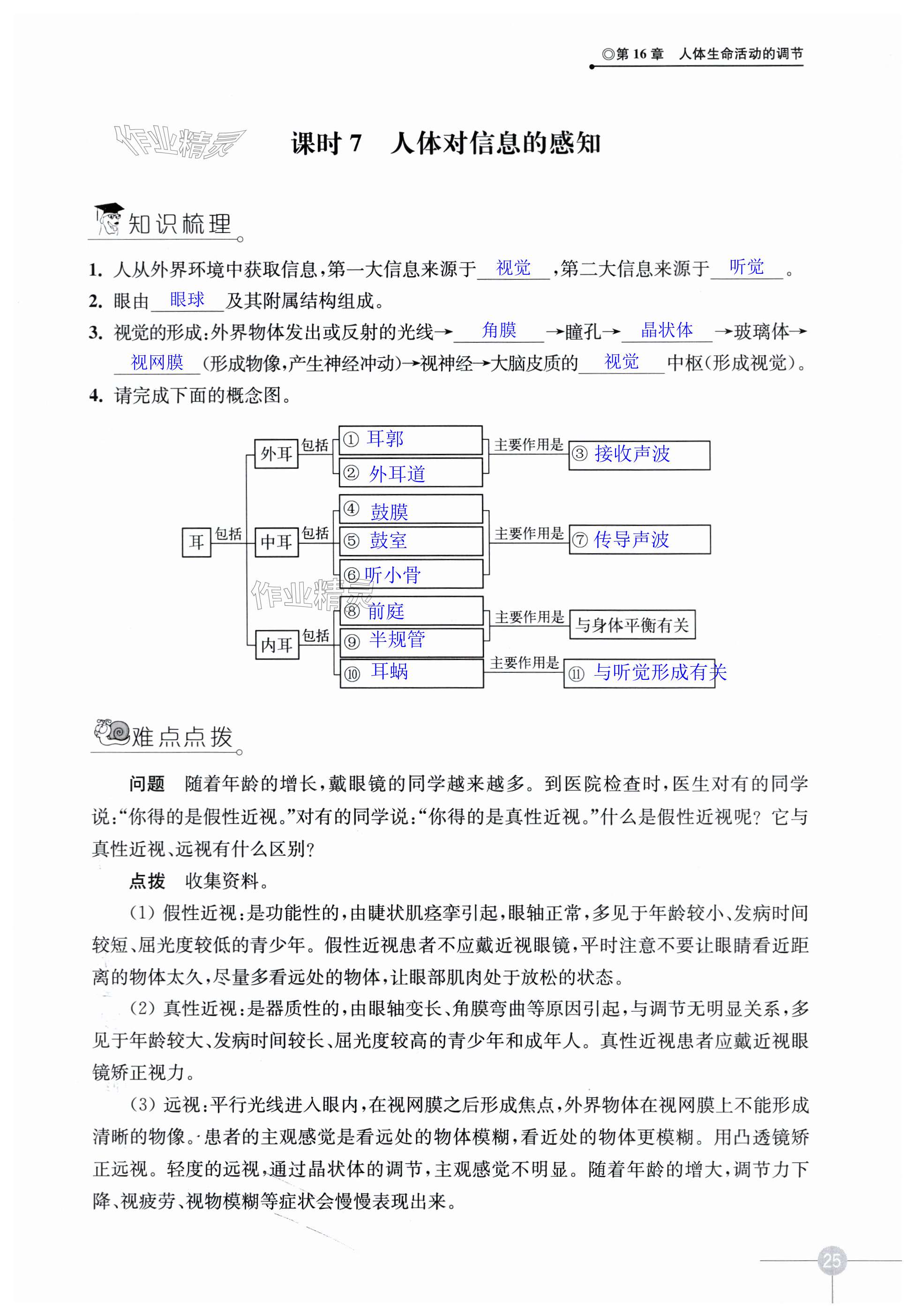 第25頁