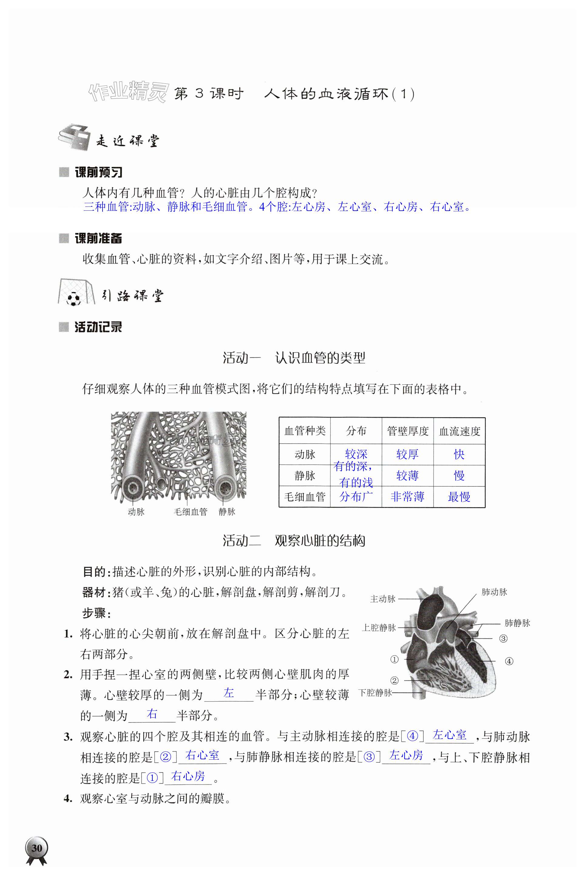 第30頁(yè)