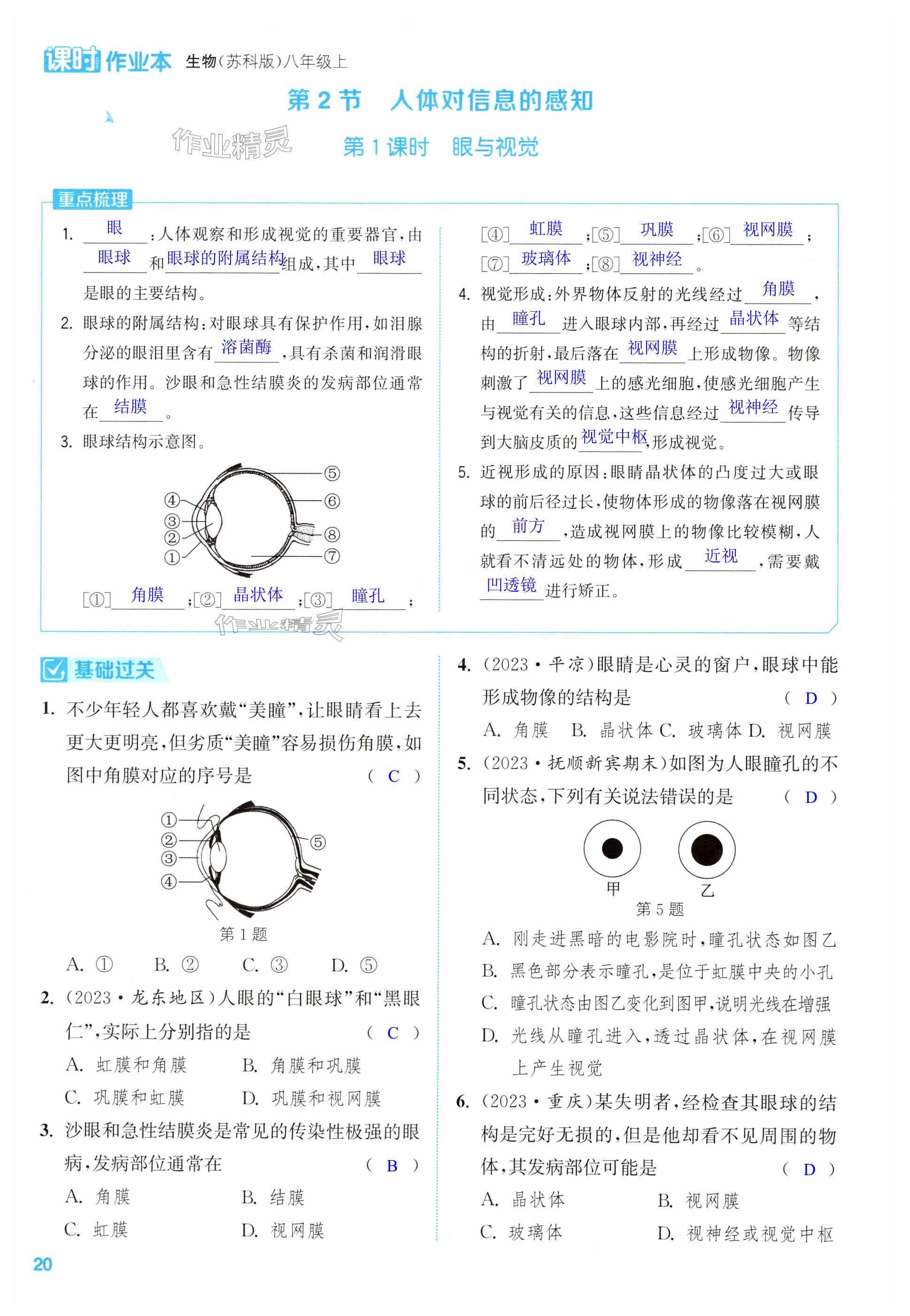 第20頁