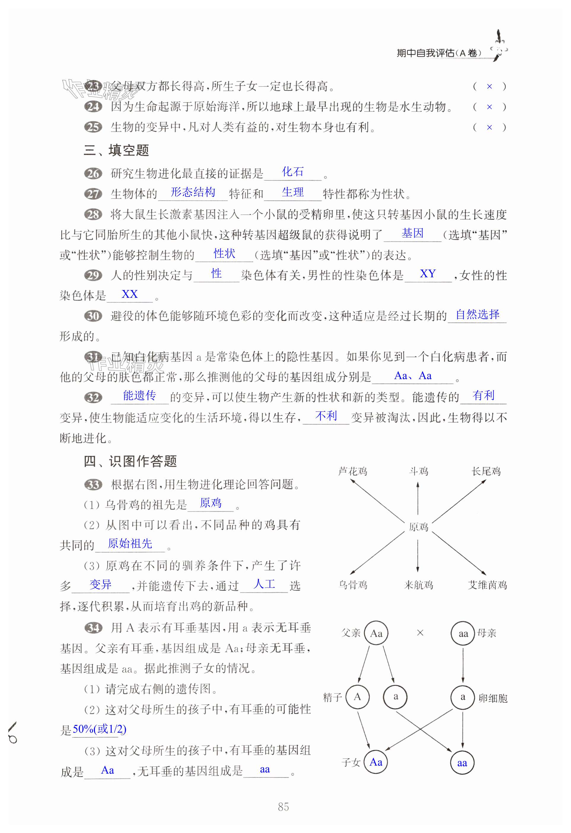 第85页