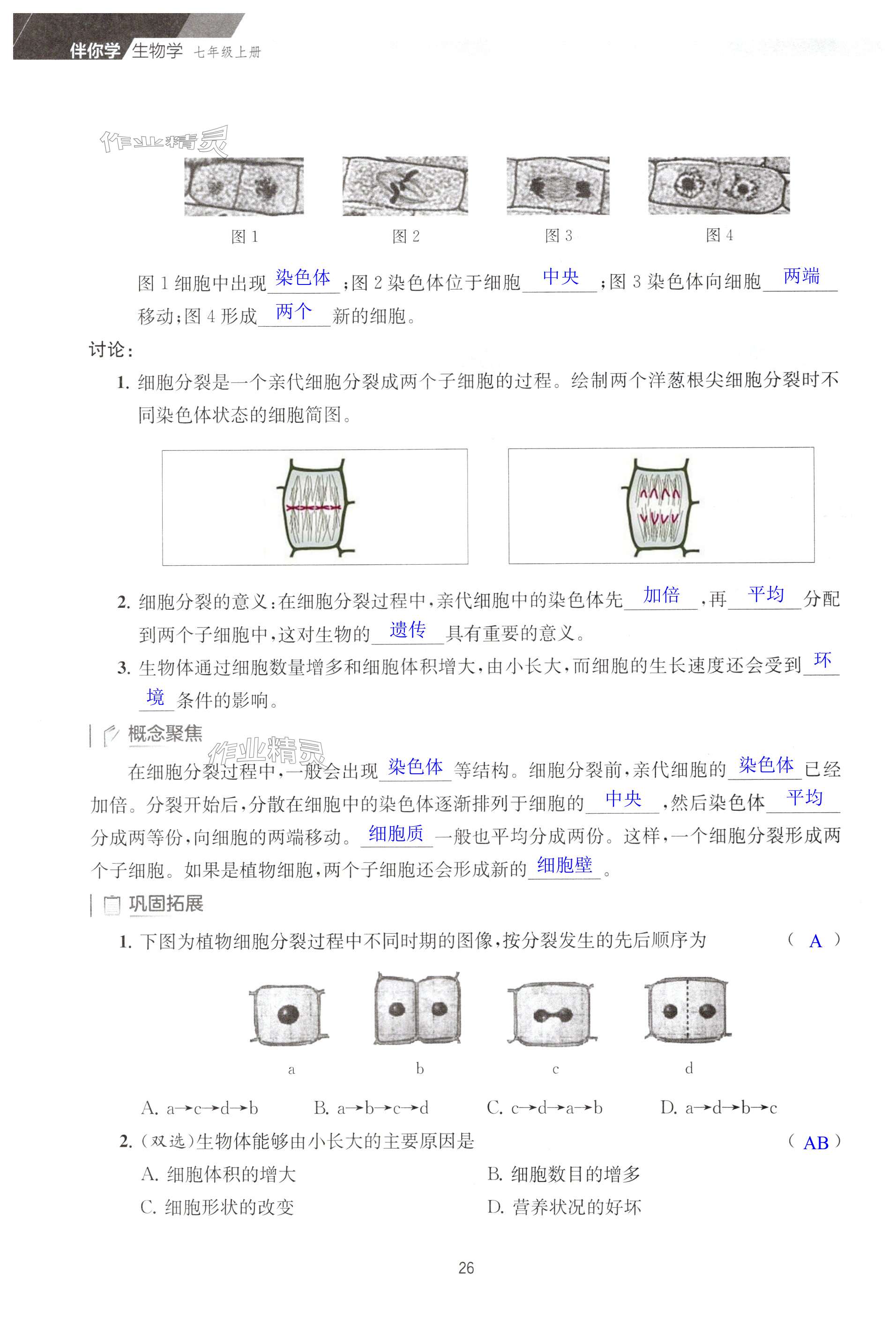 第26頁