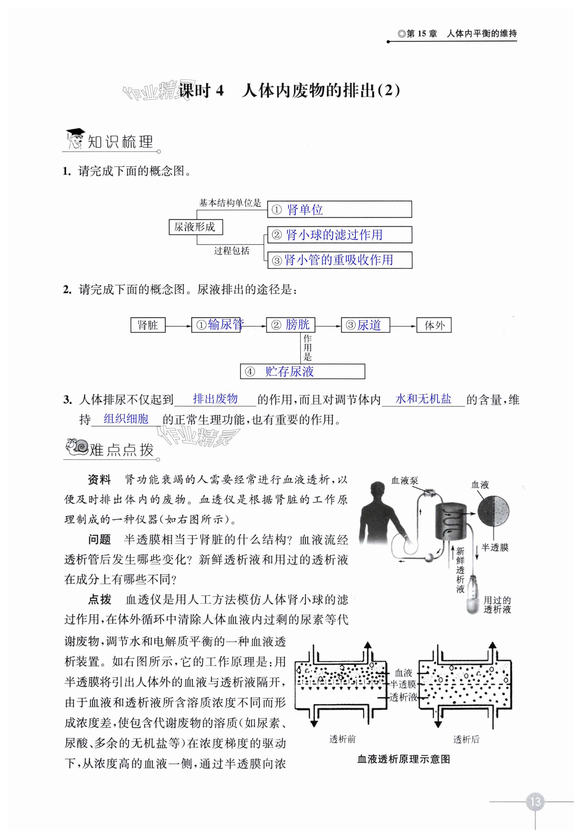 第13頁