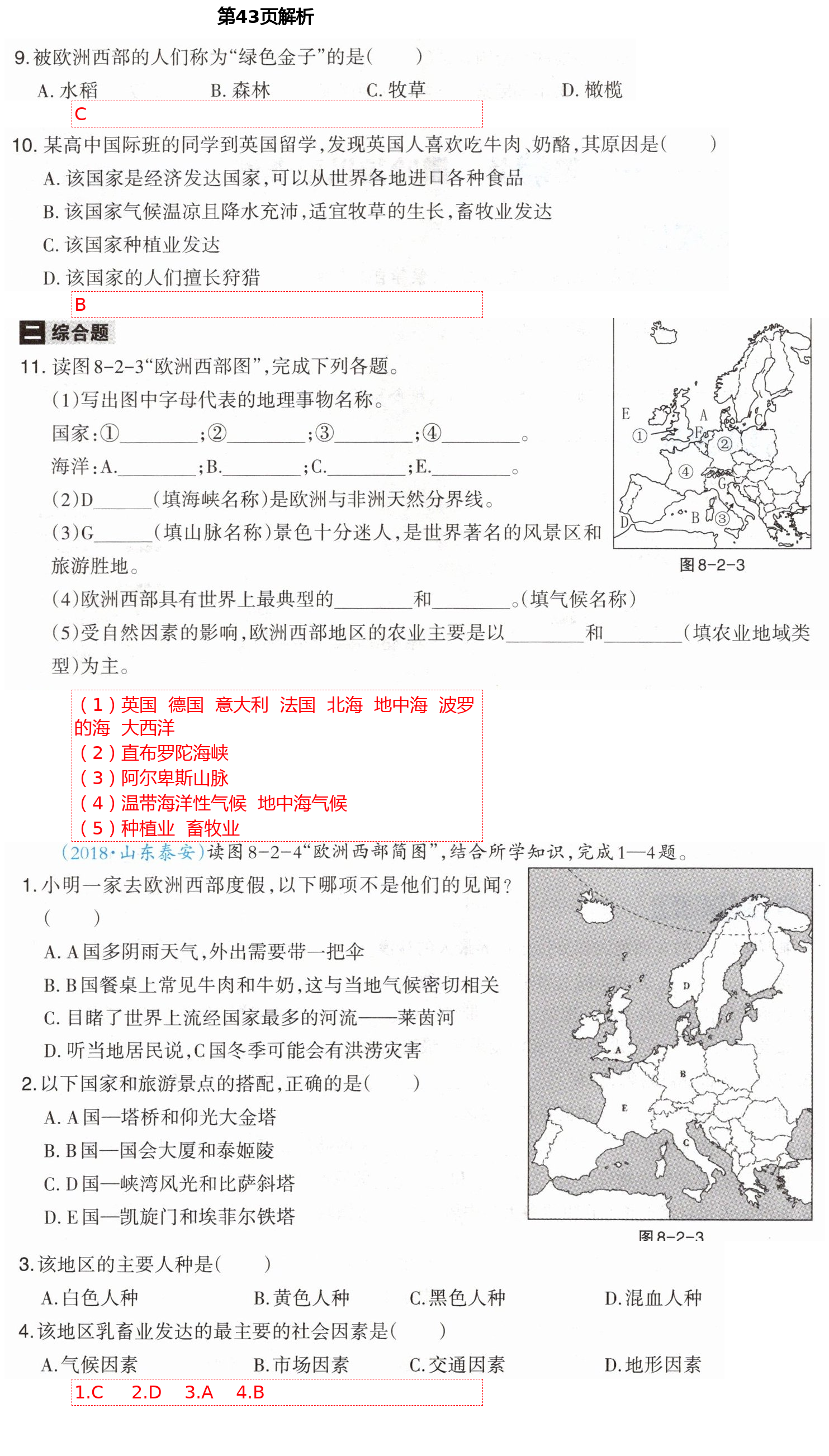 2021年學(xué)習(xí)指要七年級(jí)地理下冊(cè)人教版重慶專版 第43頁(yè)