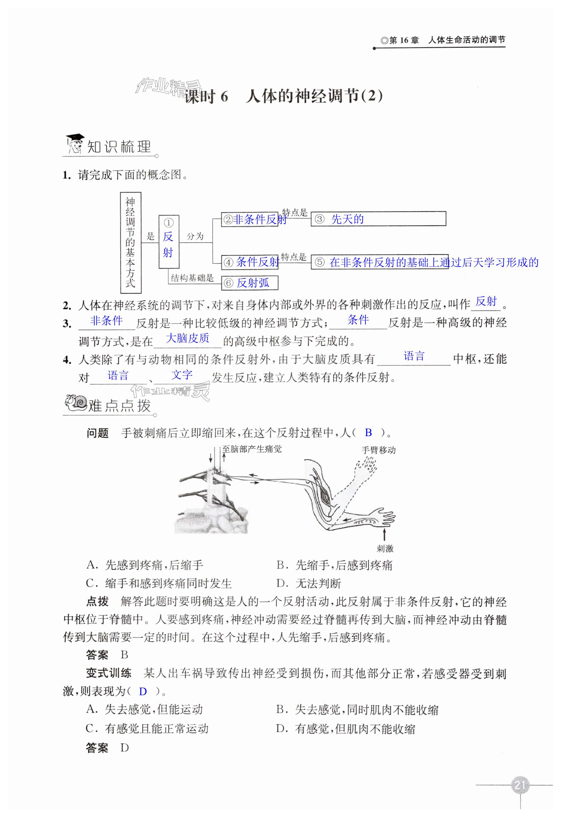 第21頁