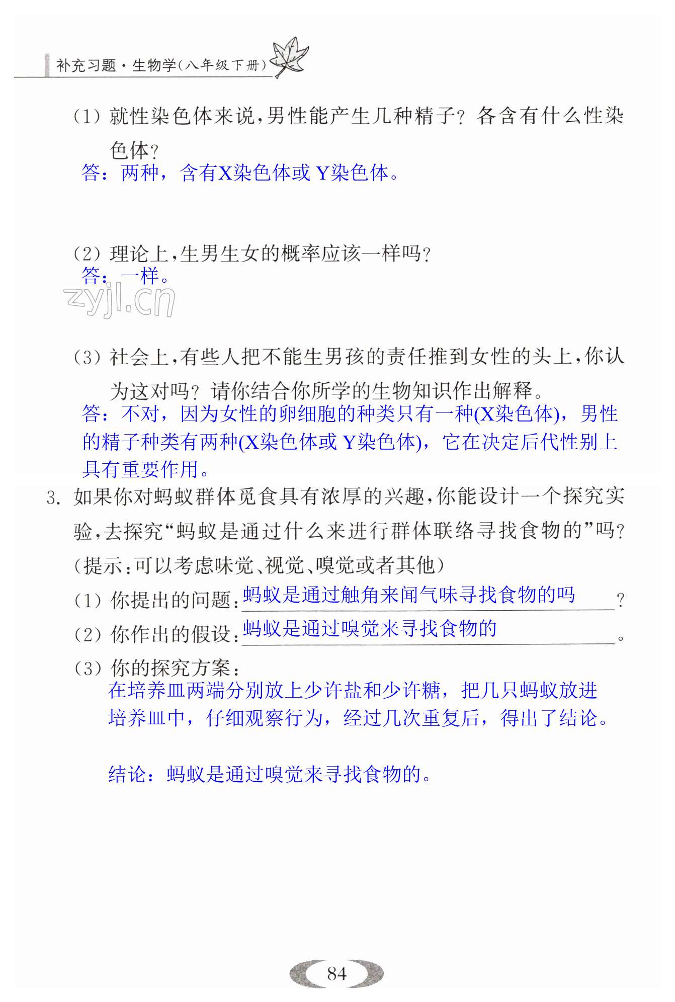 第84页