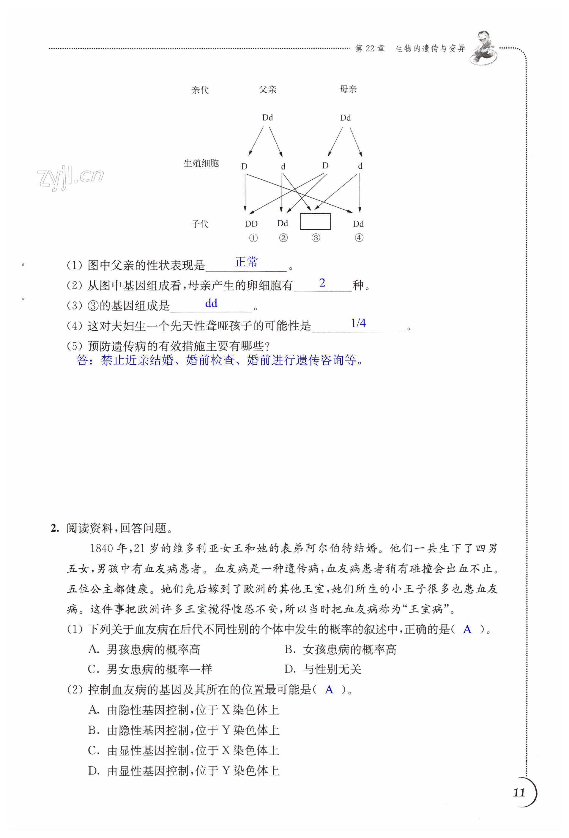 第11頁(yè)