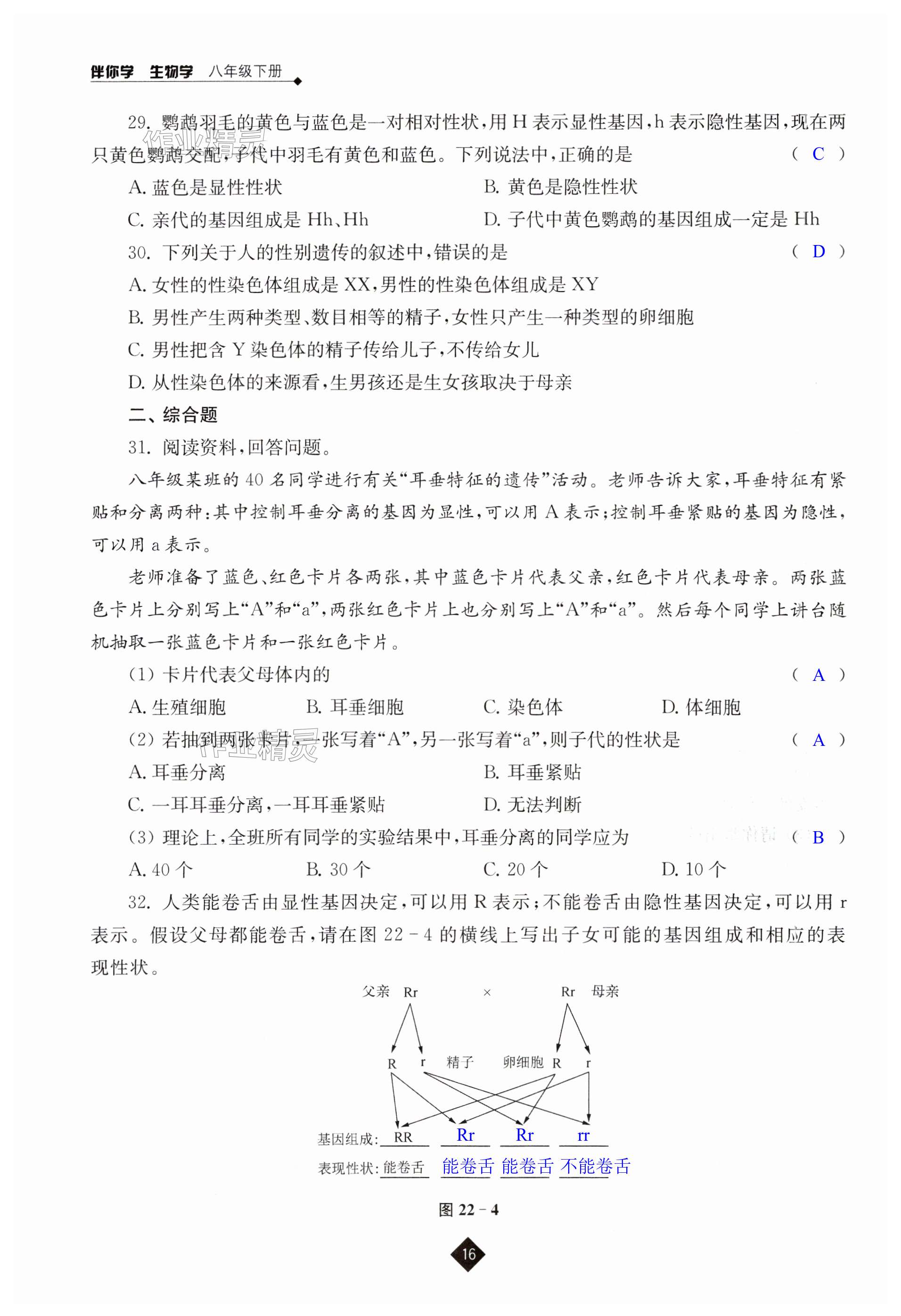 第16頁