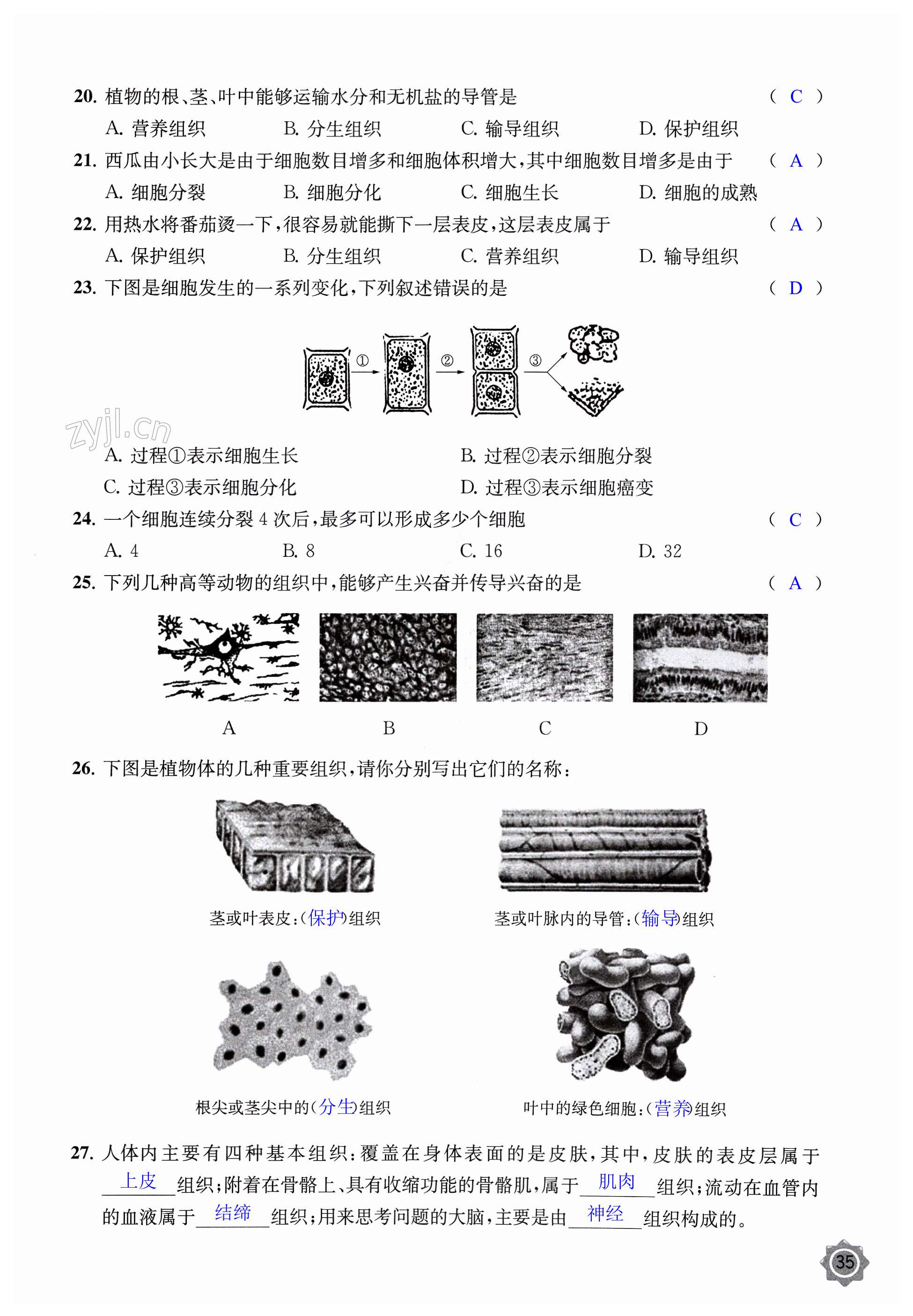 第35頁