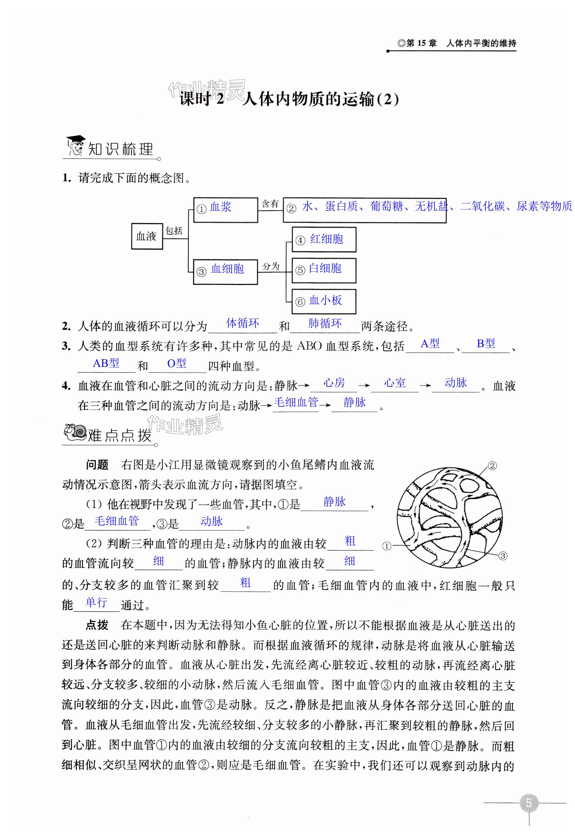 第5頁(yè)