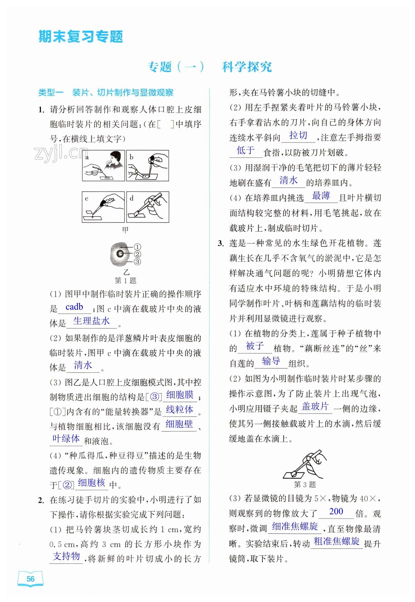 第56頁