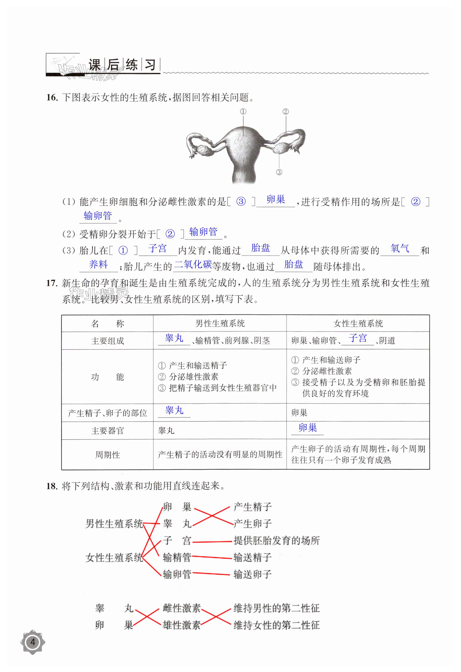 第4頁