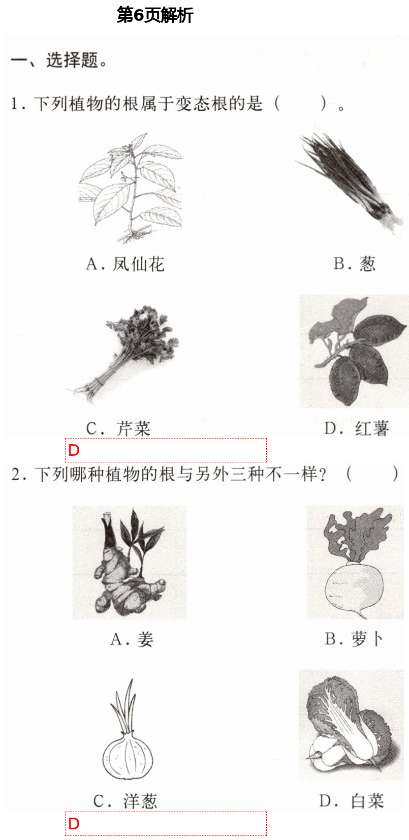 2021年新思维伴你学四年级科学下册教科版 第6页