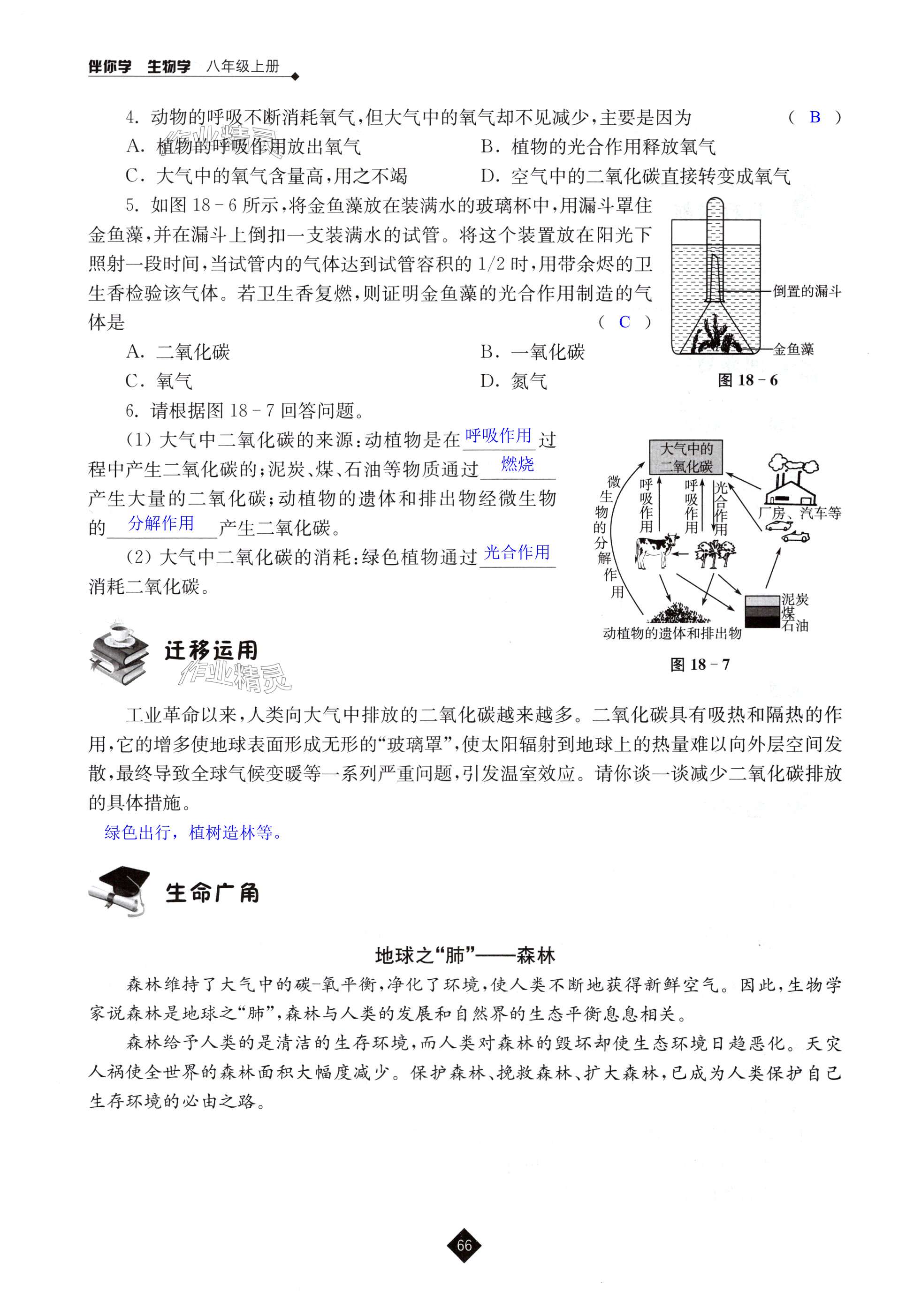 第66頁(yè)