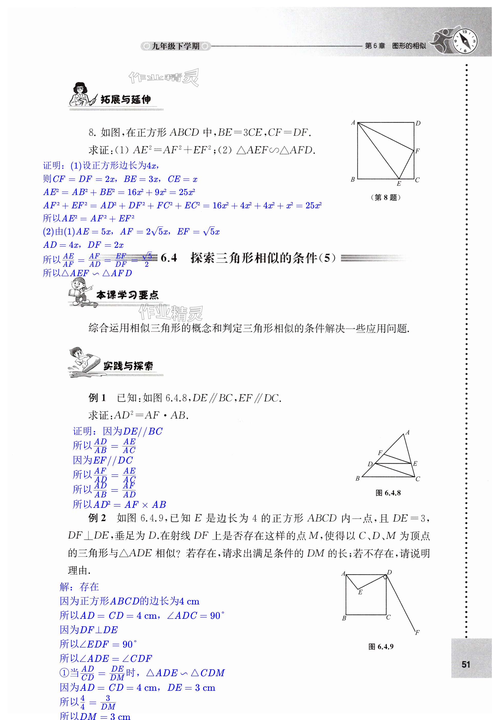 第51页