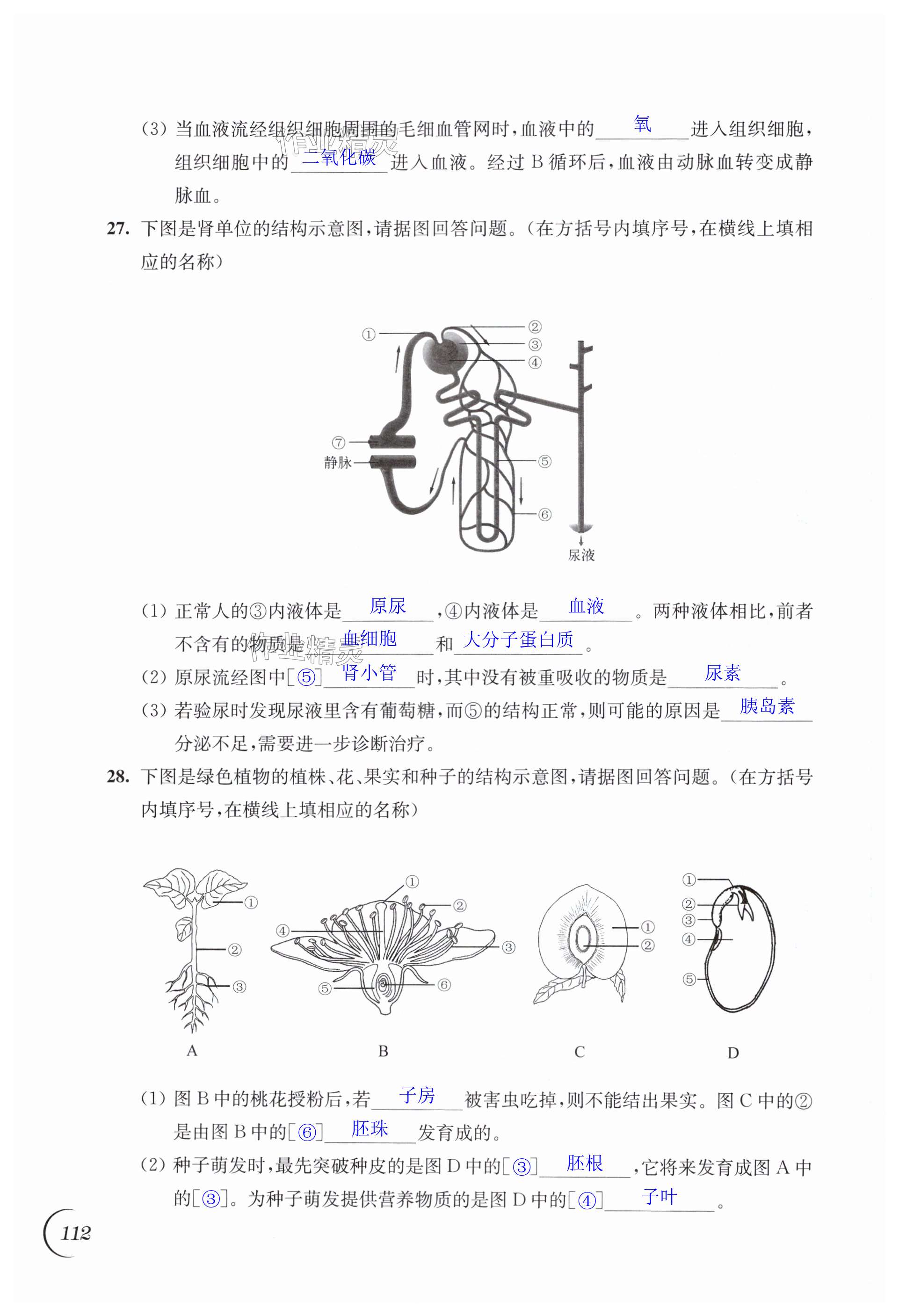 第112頁