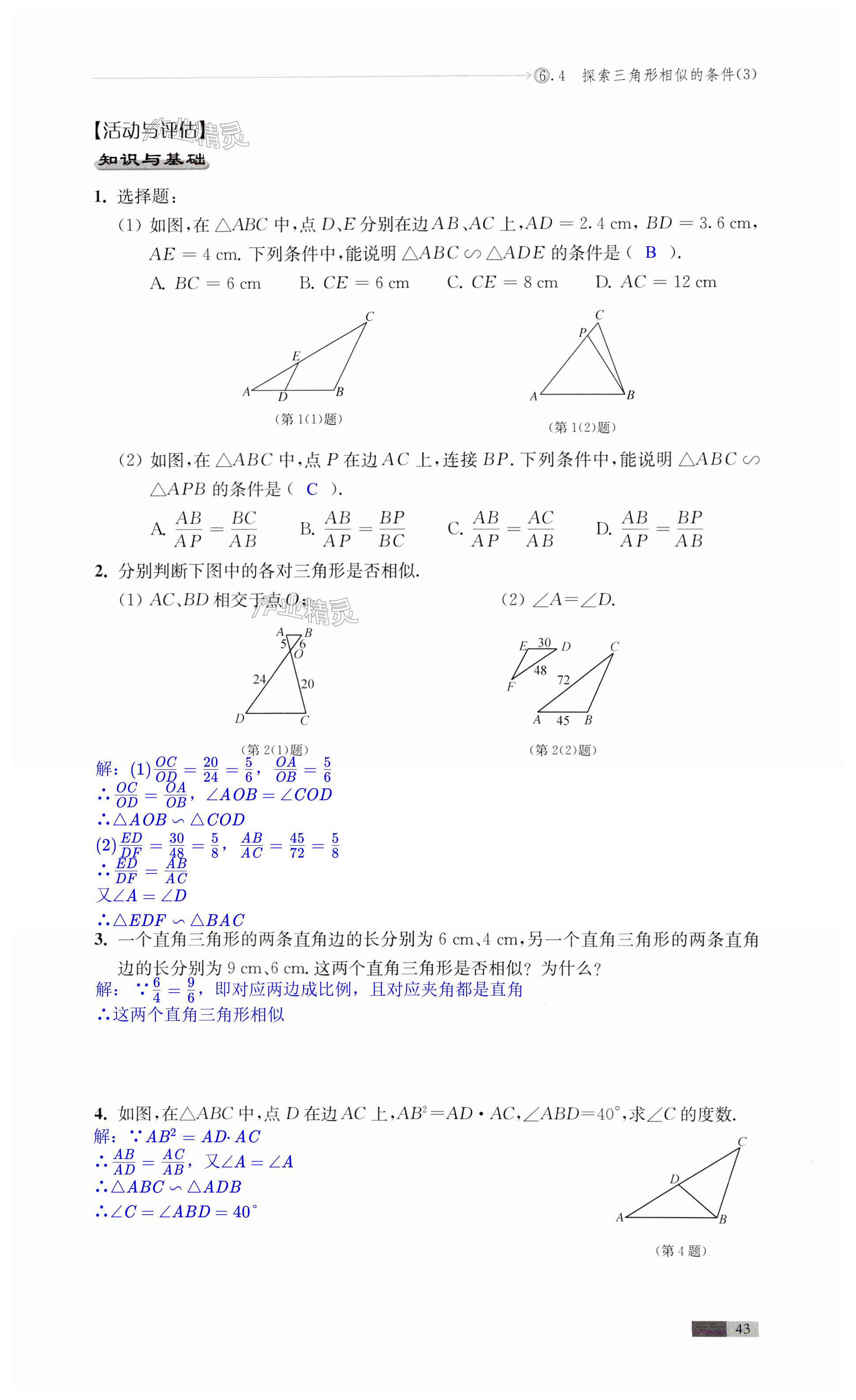 第43頁