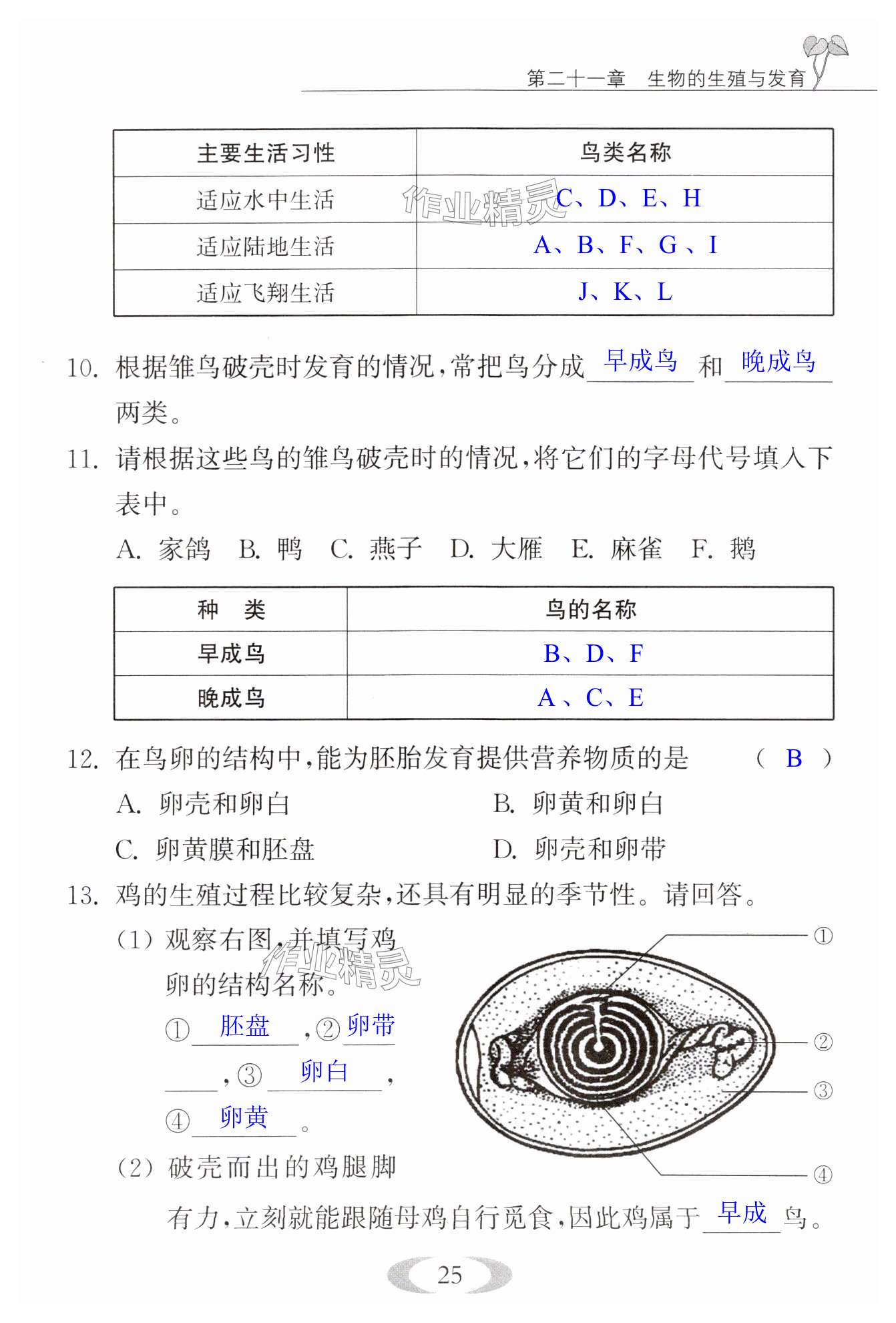 第25頁