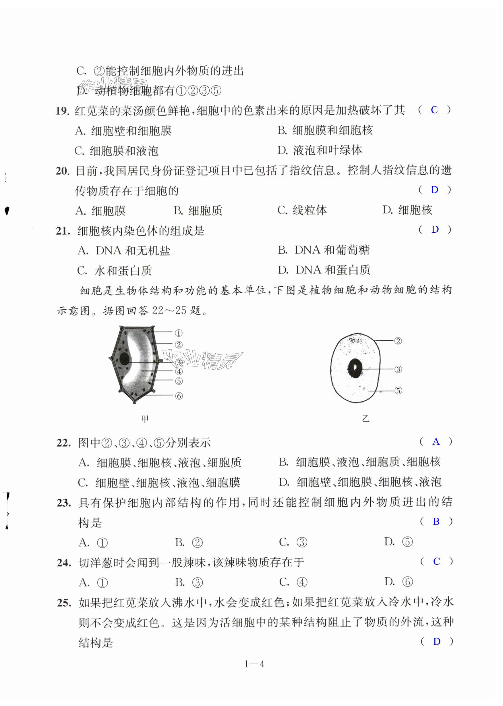 第4页