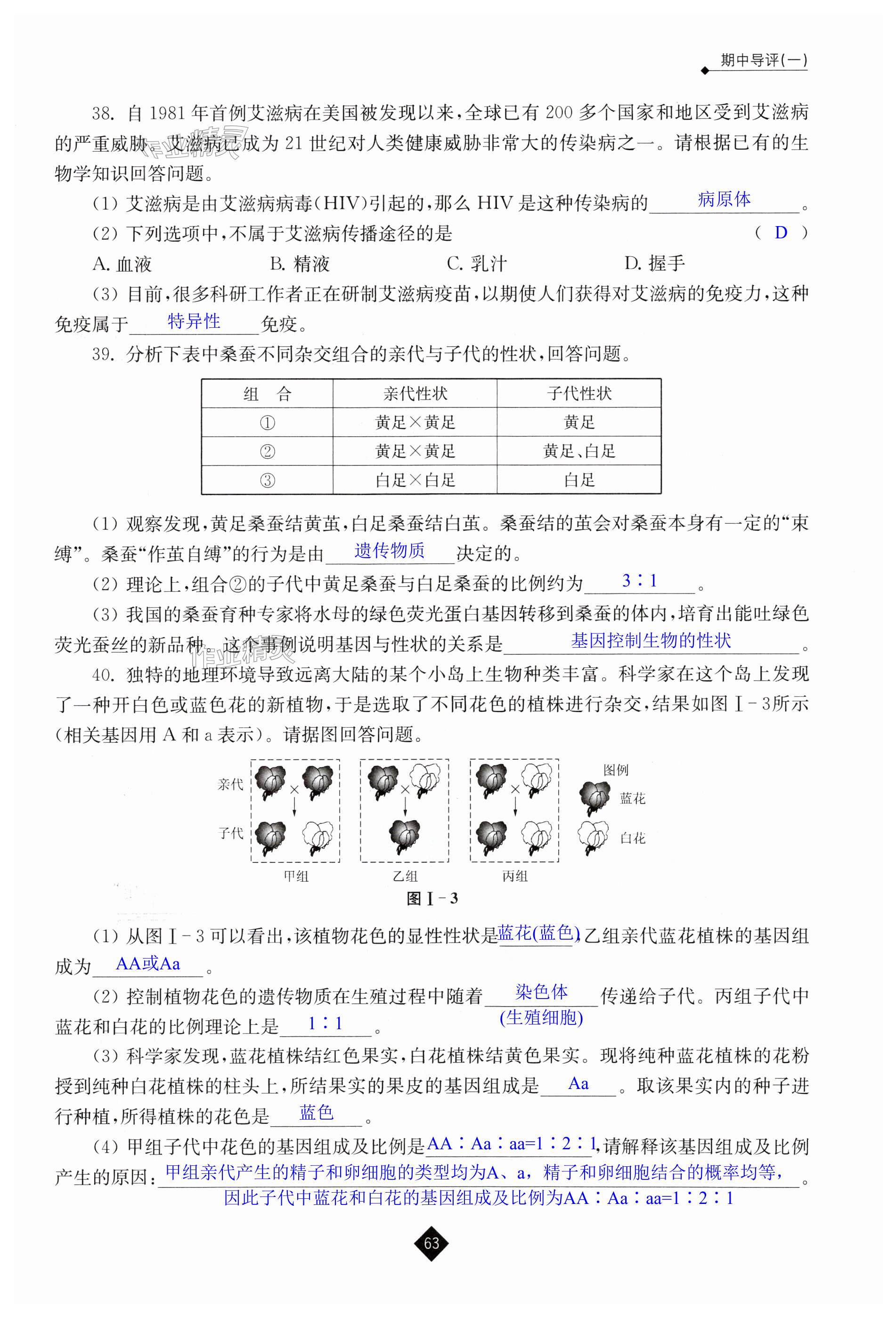 第63頁