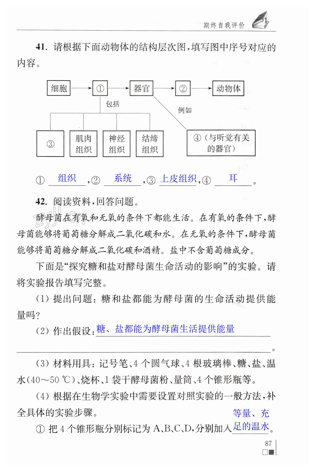 第87页