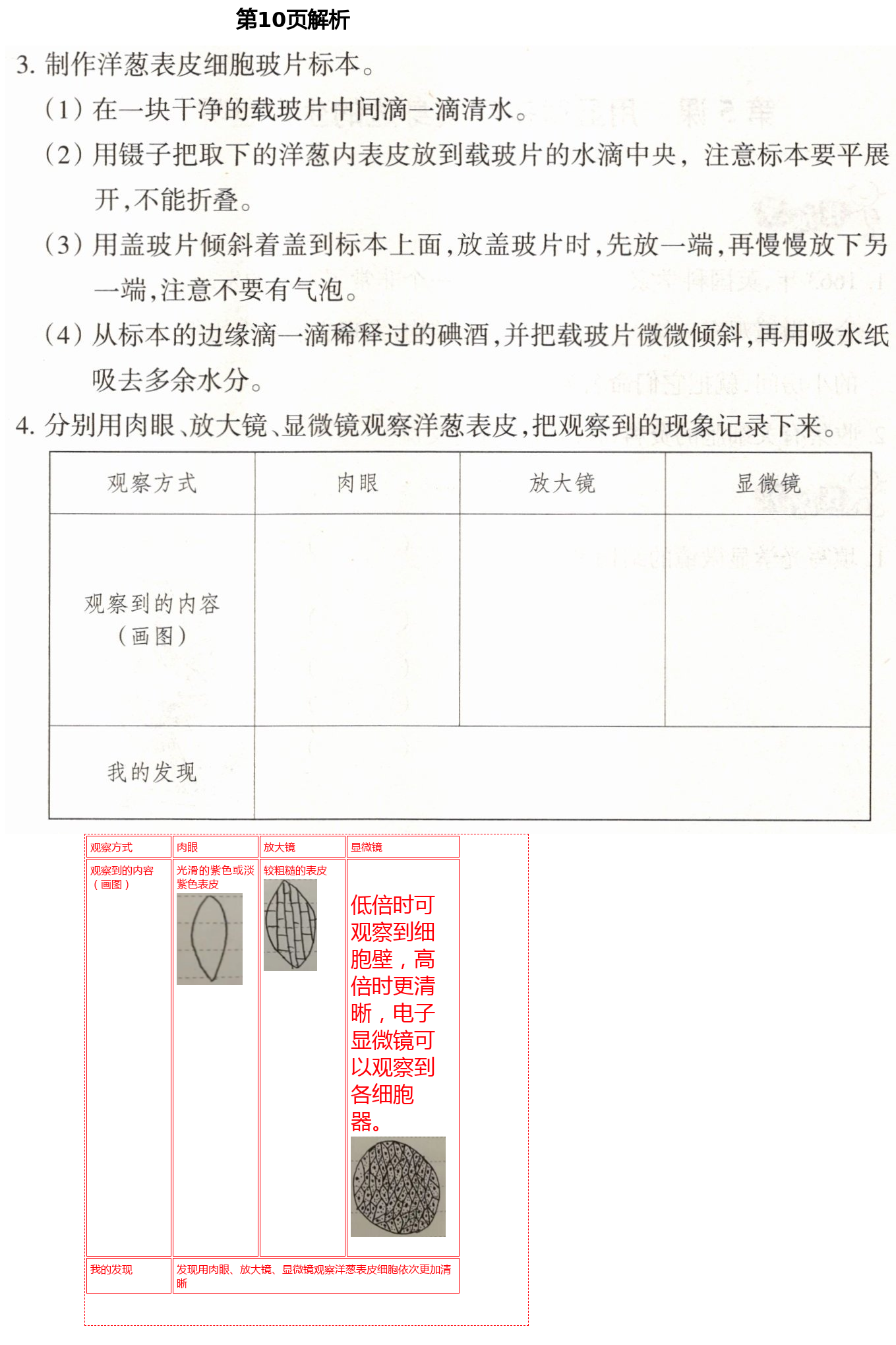 2021年导学新作业六年级科学下册教科版 第10页