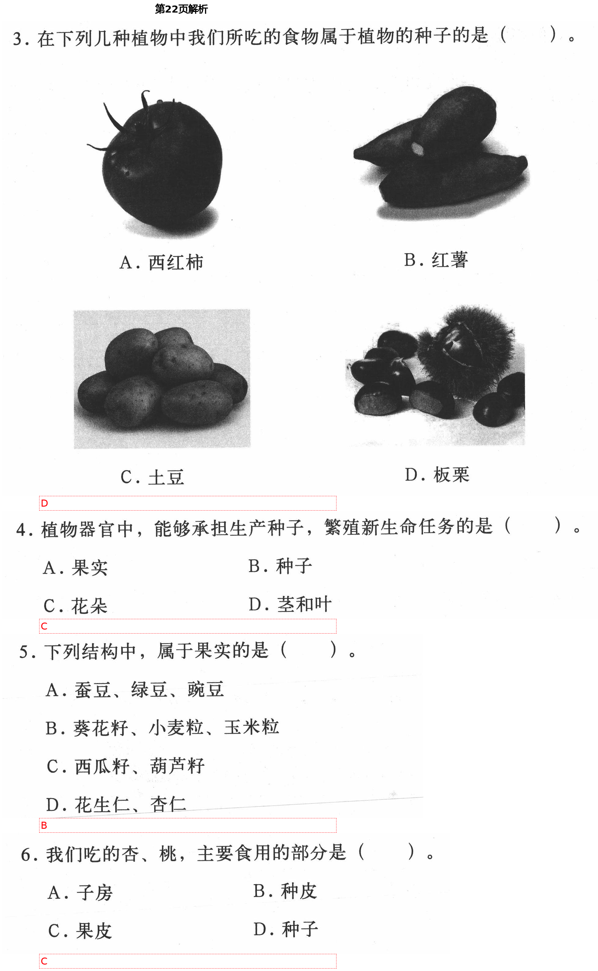 2021年新思维伴你学单元达标测试卷四年级科学下册教科版 第22页