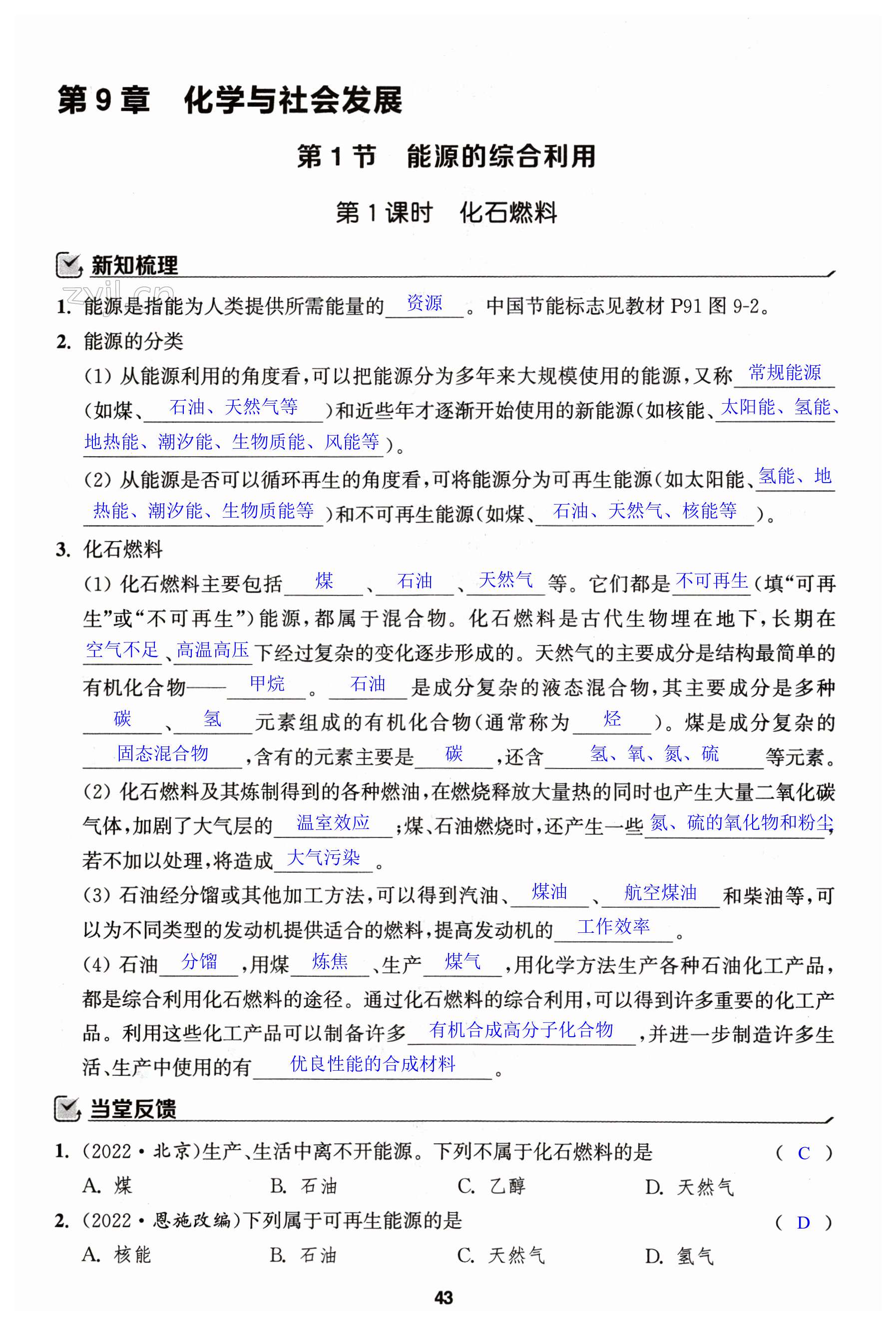 第43页
