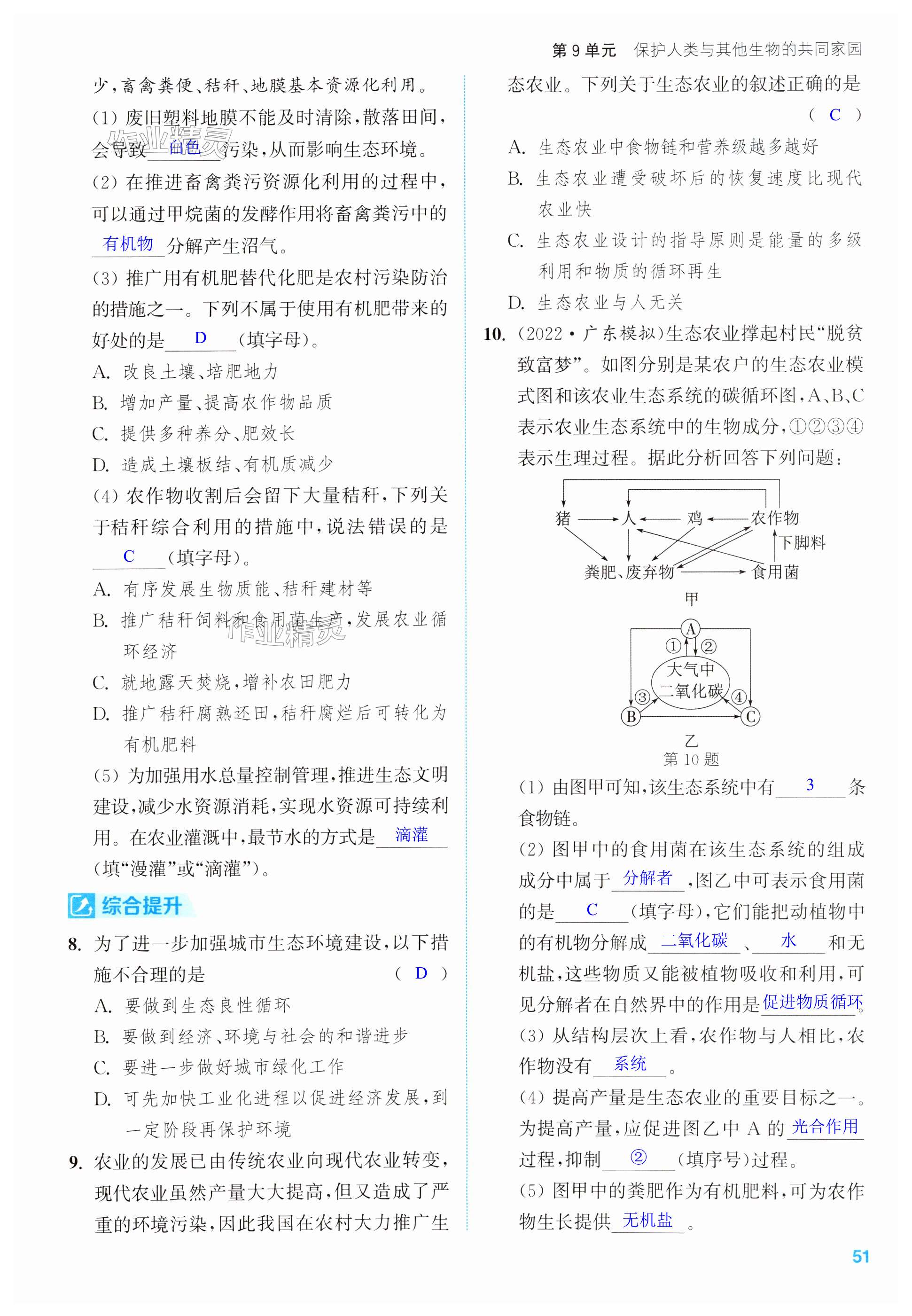 第51頁