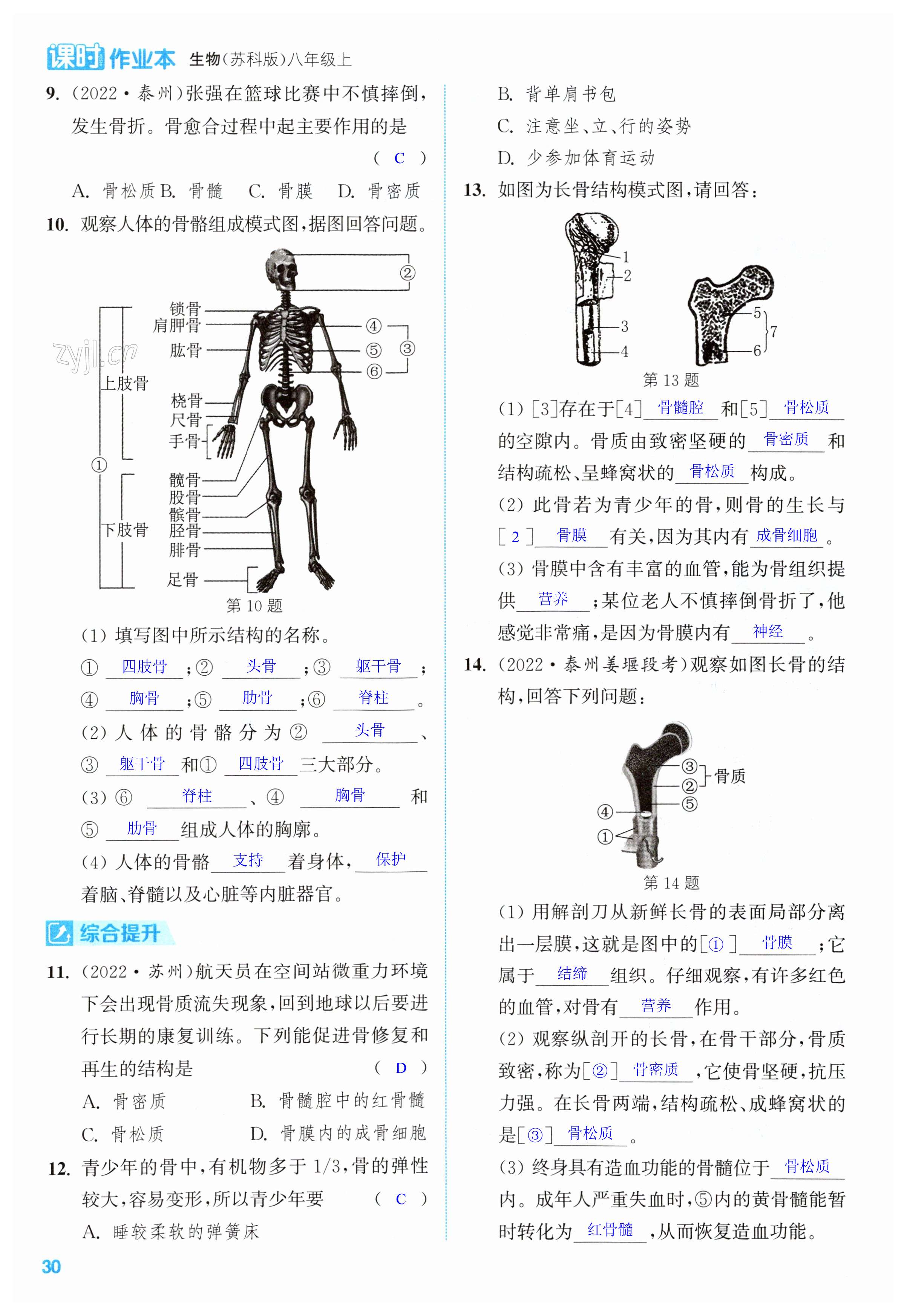 第30頁