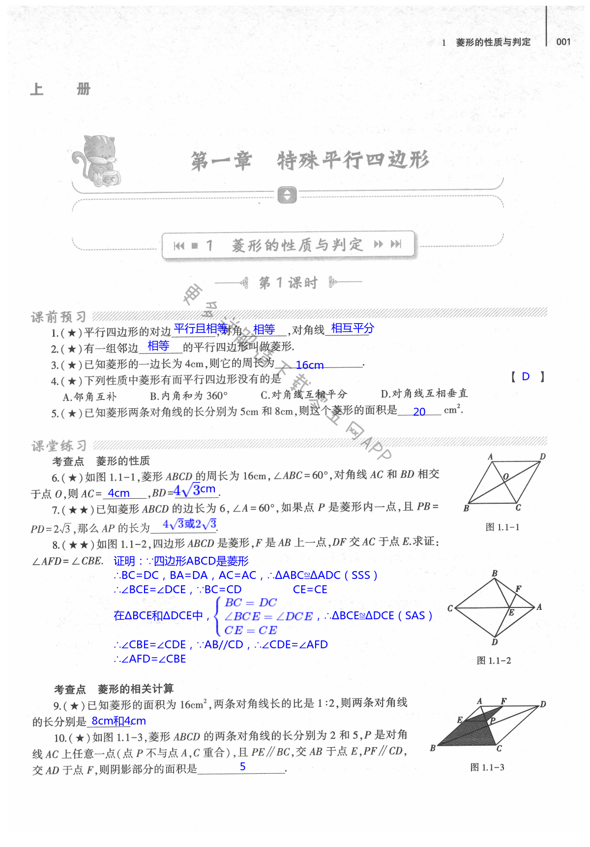 2021年基础训练大象出版社九年级数学全一册北师大版 第1页