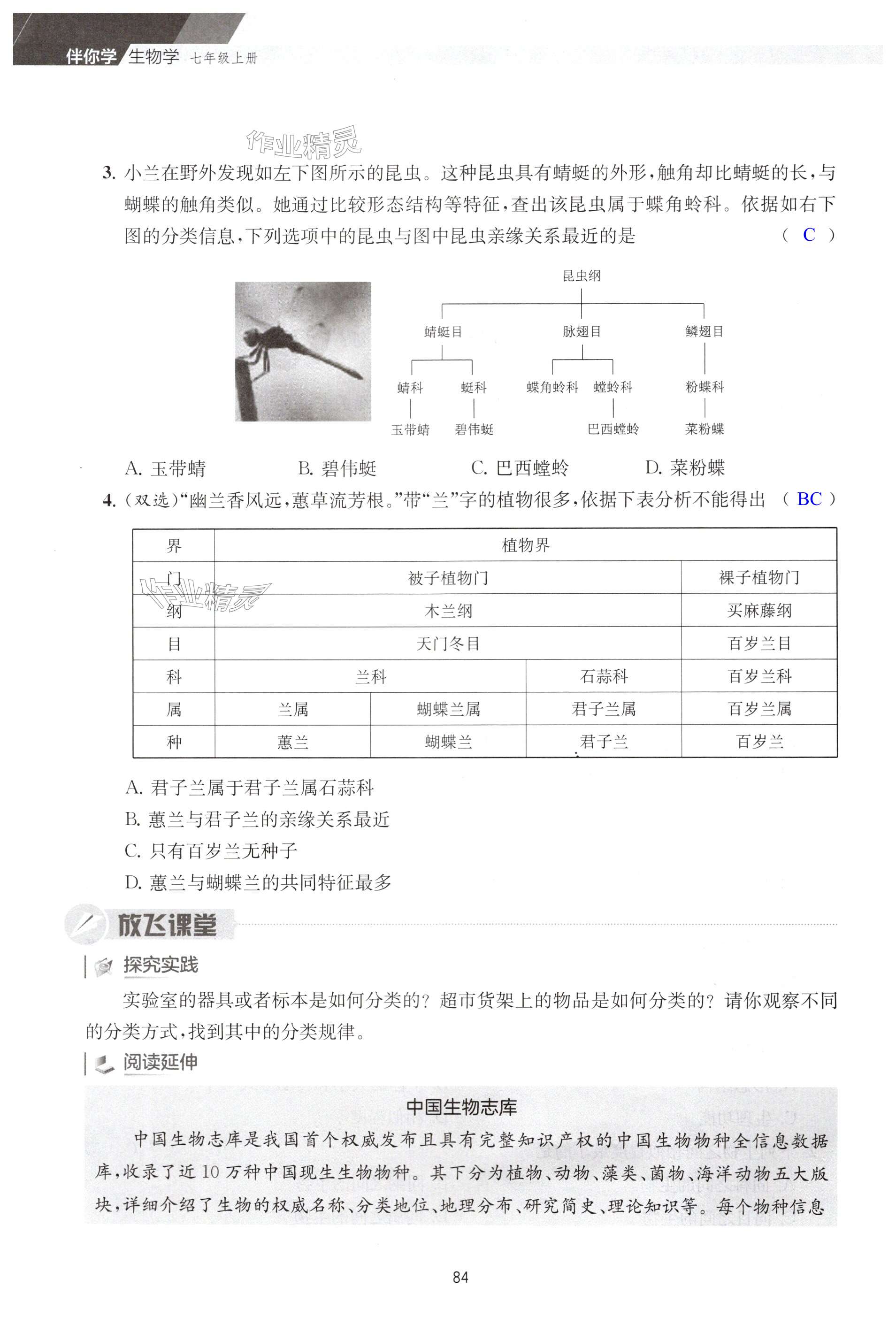 第84頁(yè)