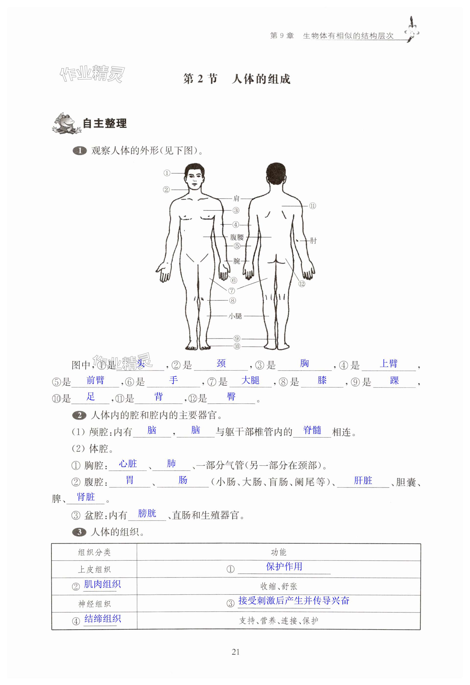 第21頁