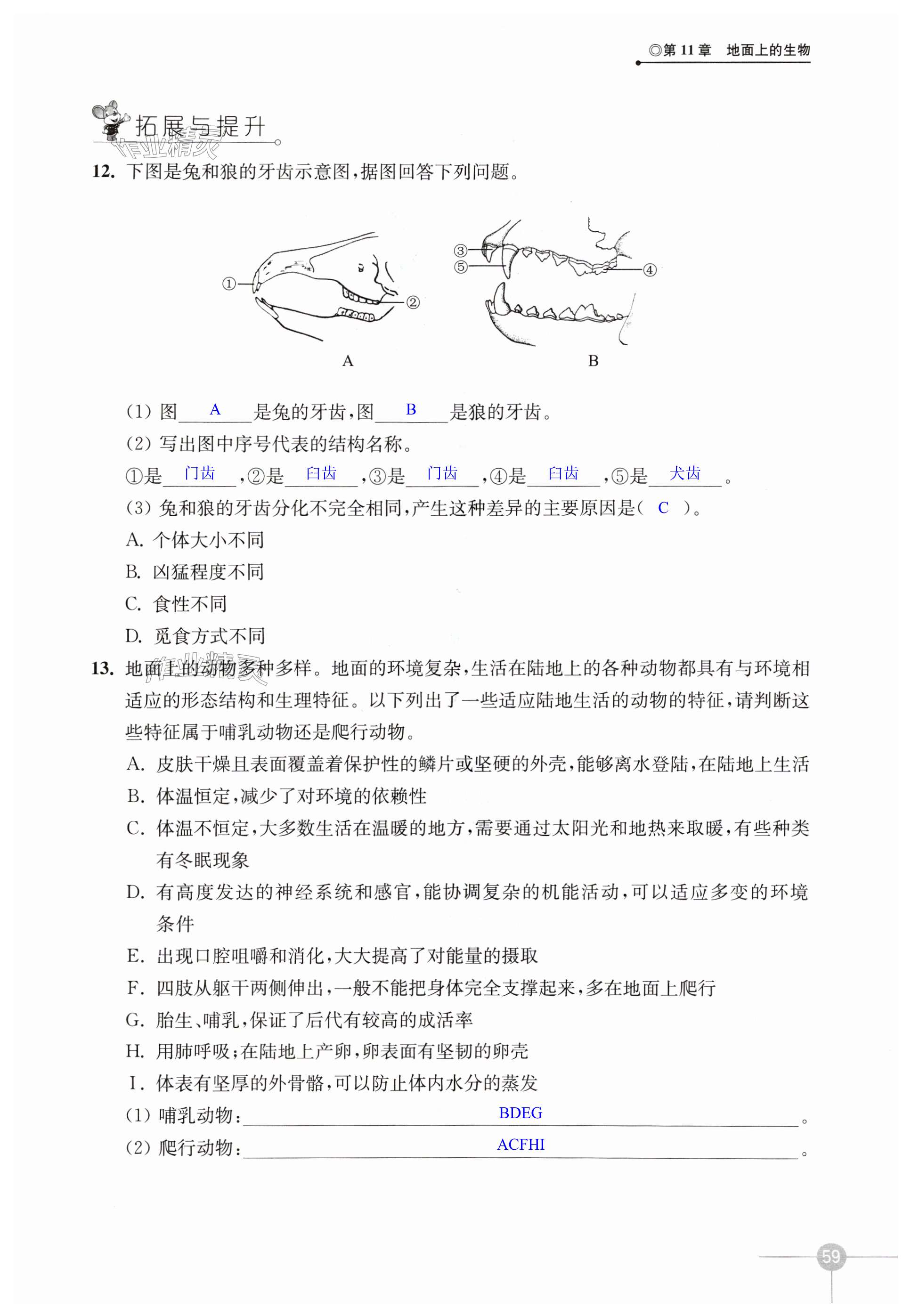 第59页