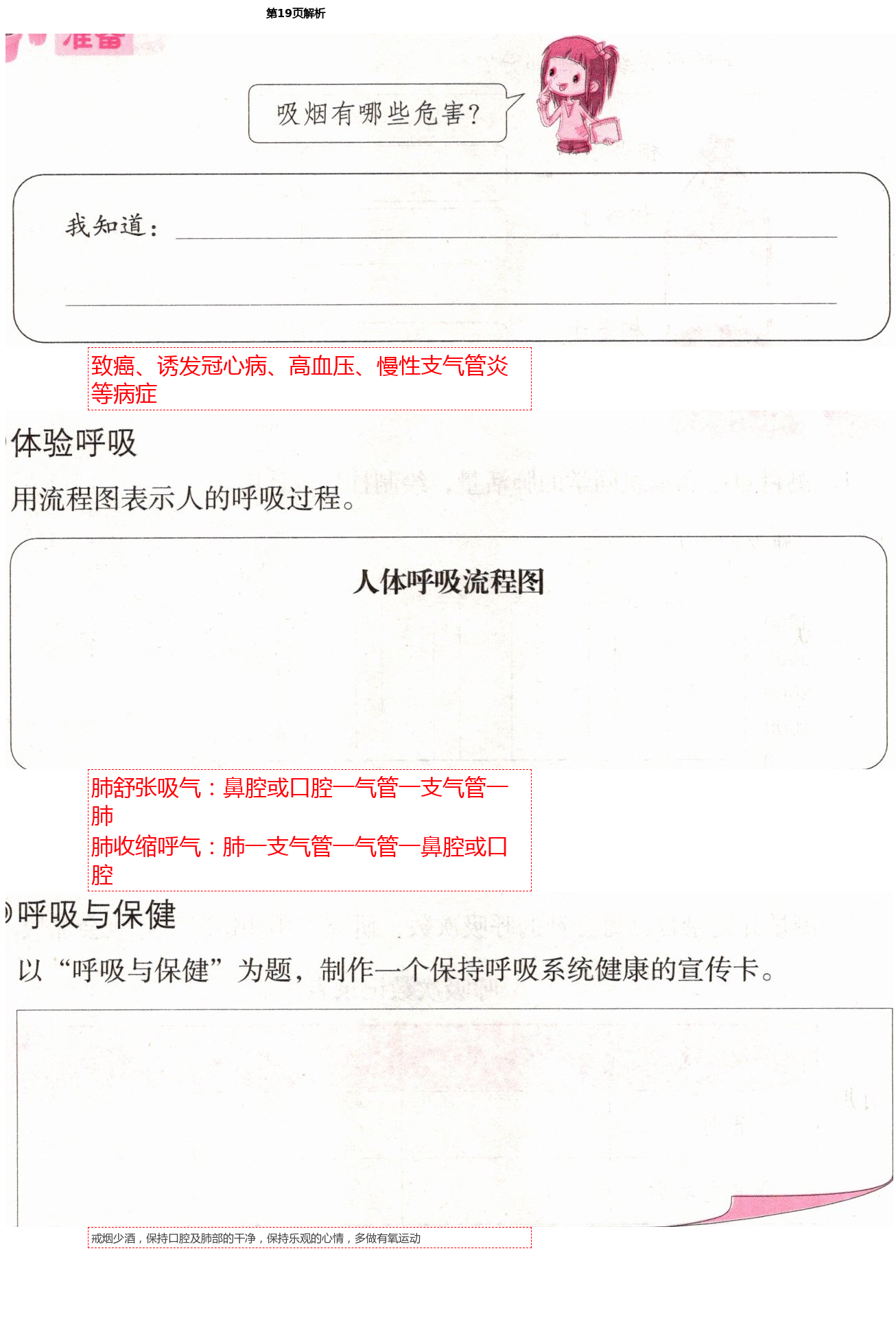 2021年科學學習與鞏固六年級下冊冀人版 第19頁