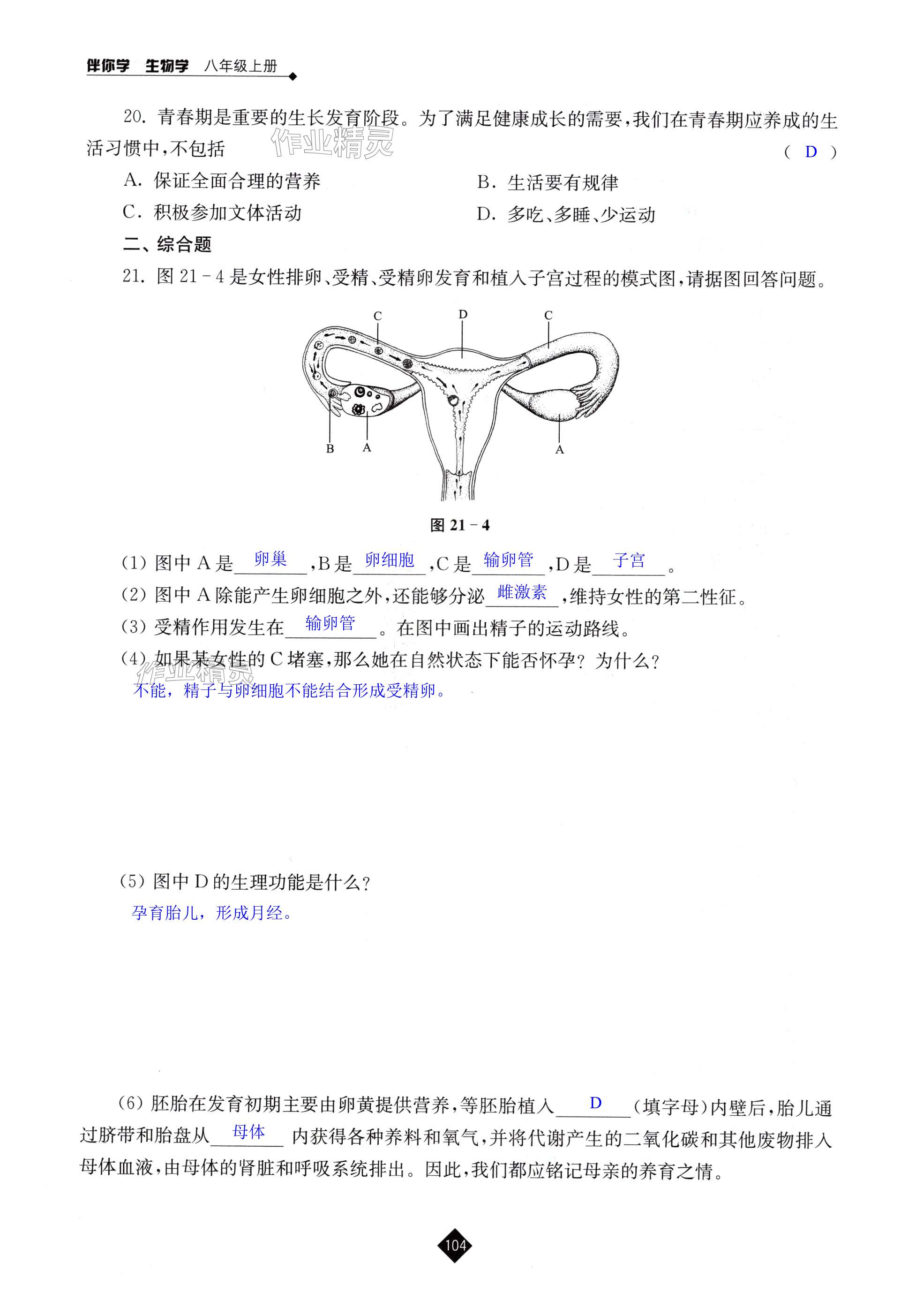 第104頁(yè)