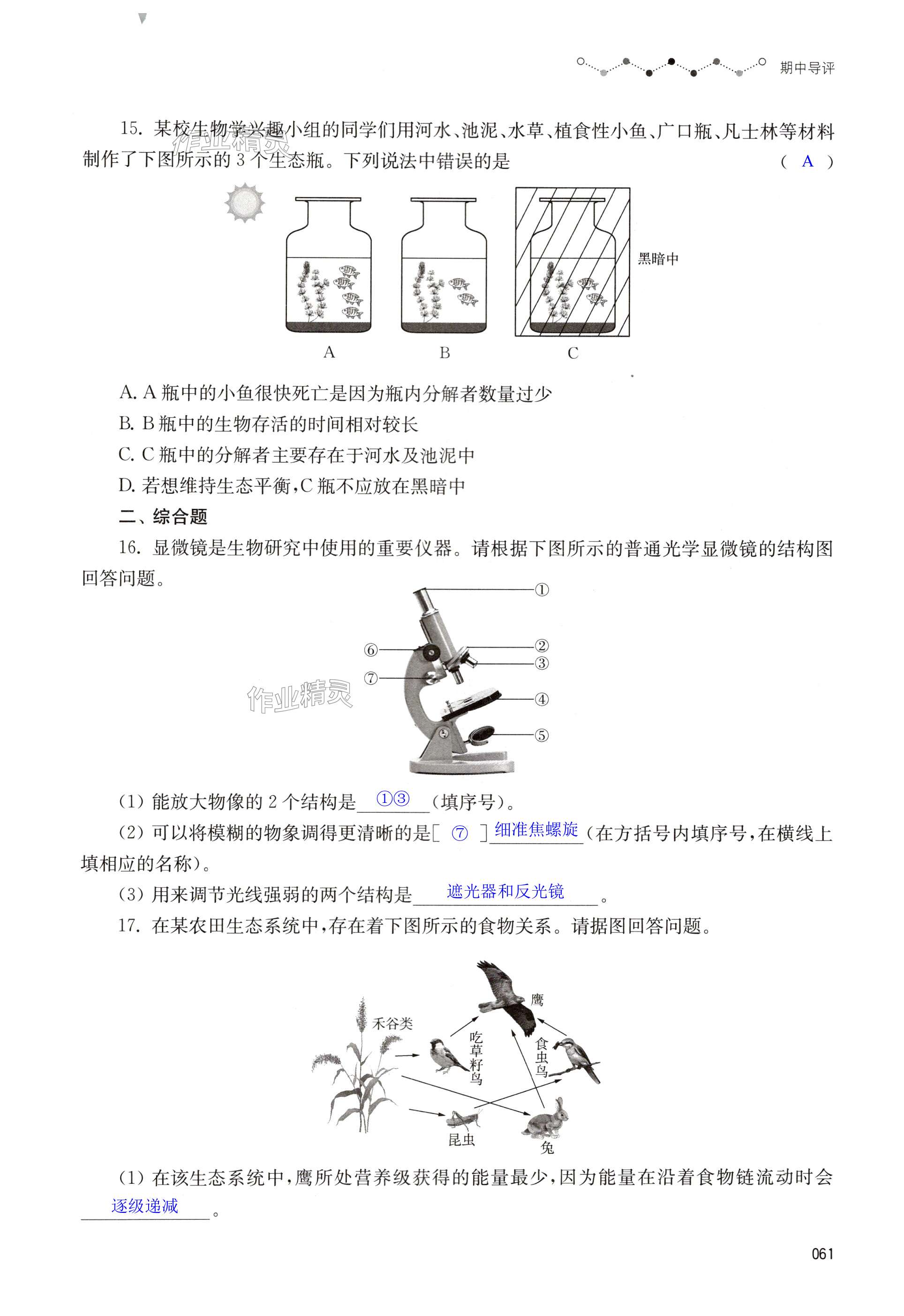 第61頁