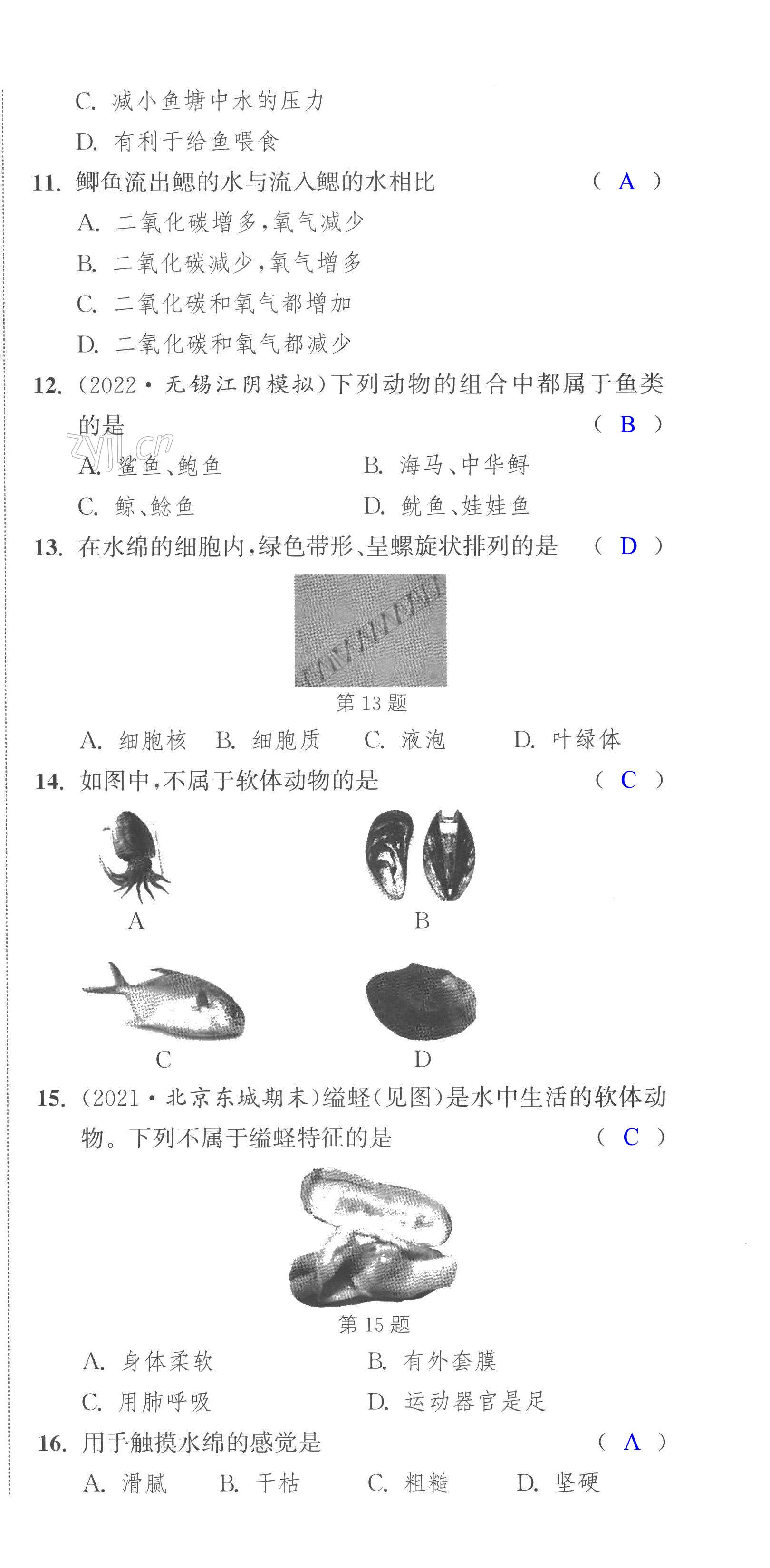 第15頁(yè)