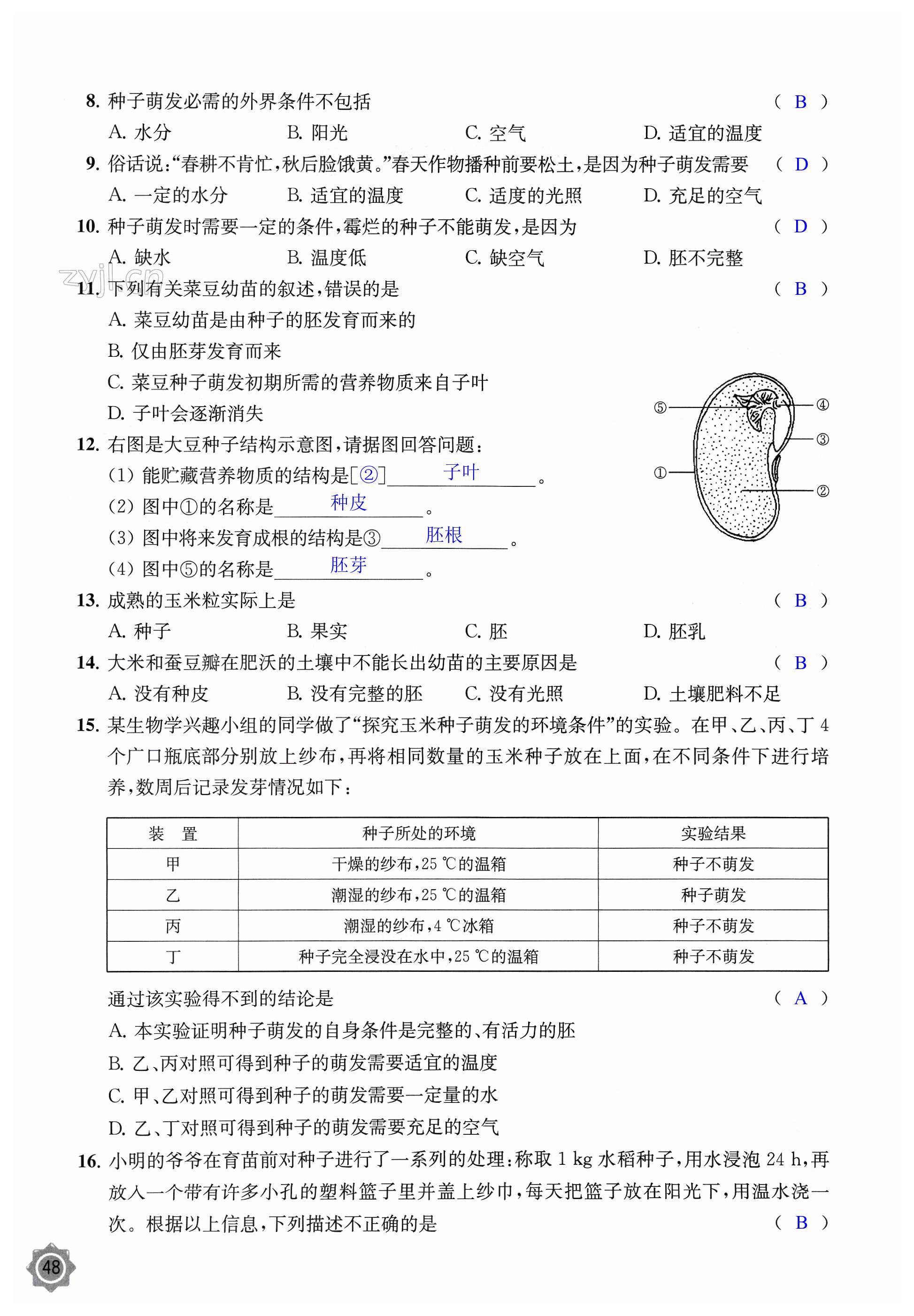 第48页