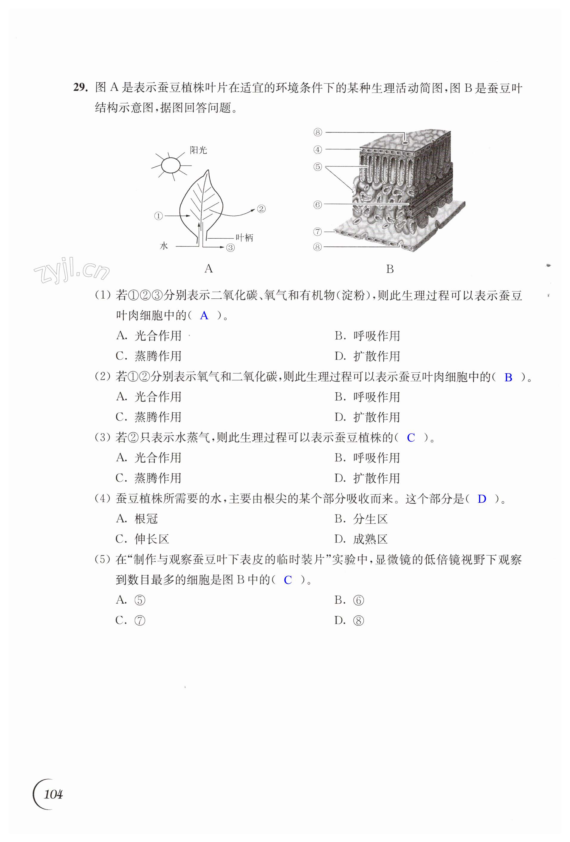 第104頁(yè)