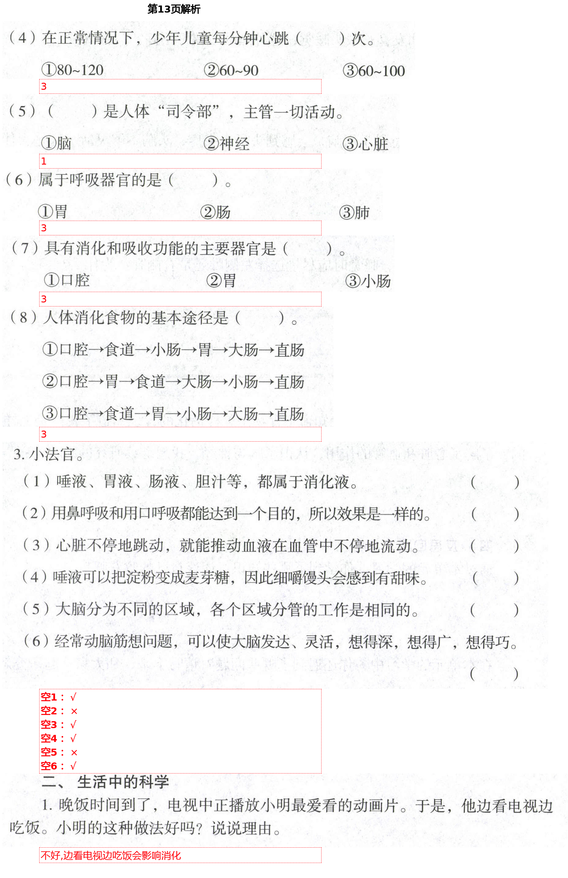 2021年自主學(xué)習(xí)指導(dǎo)課程五年級科學(xué)下冊青島版 第13頁