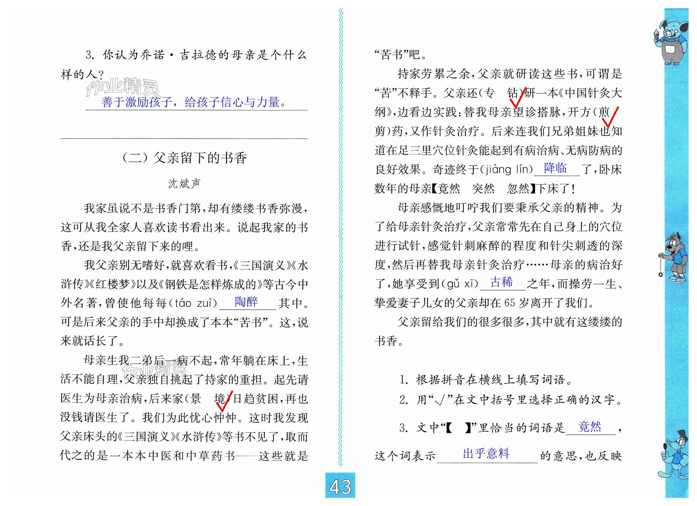 第43页