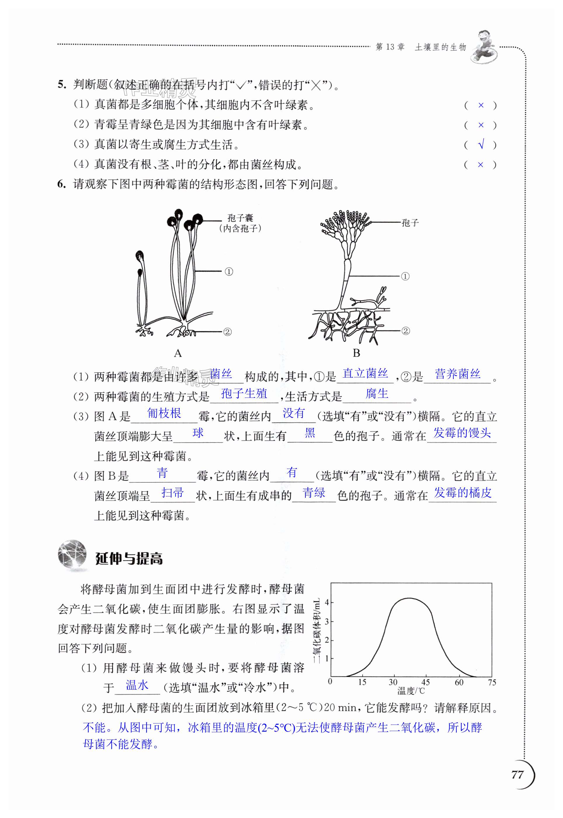 第77頁