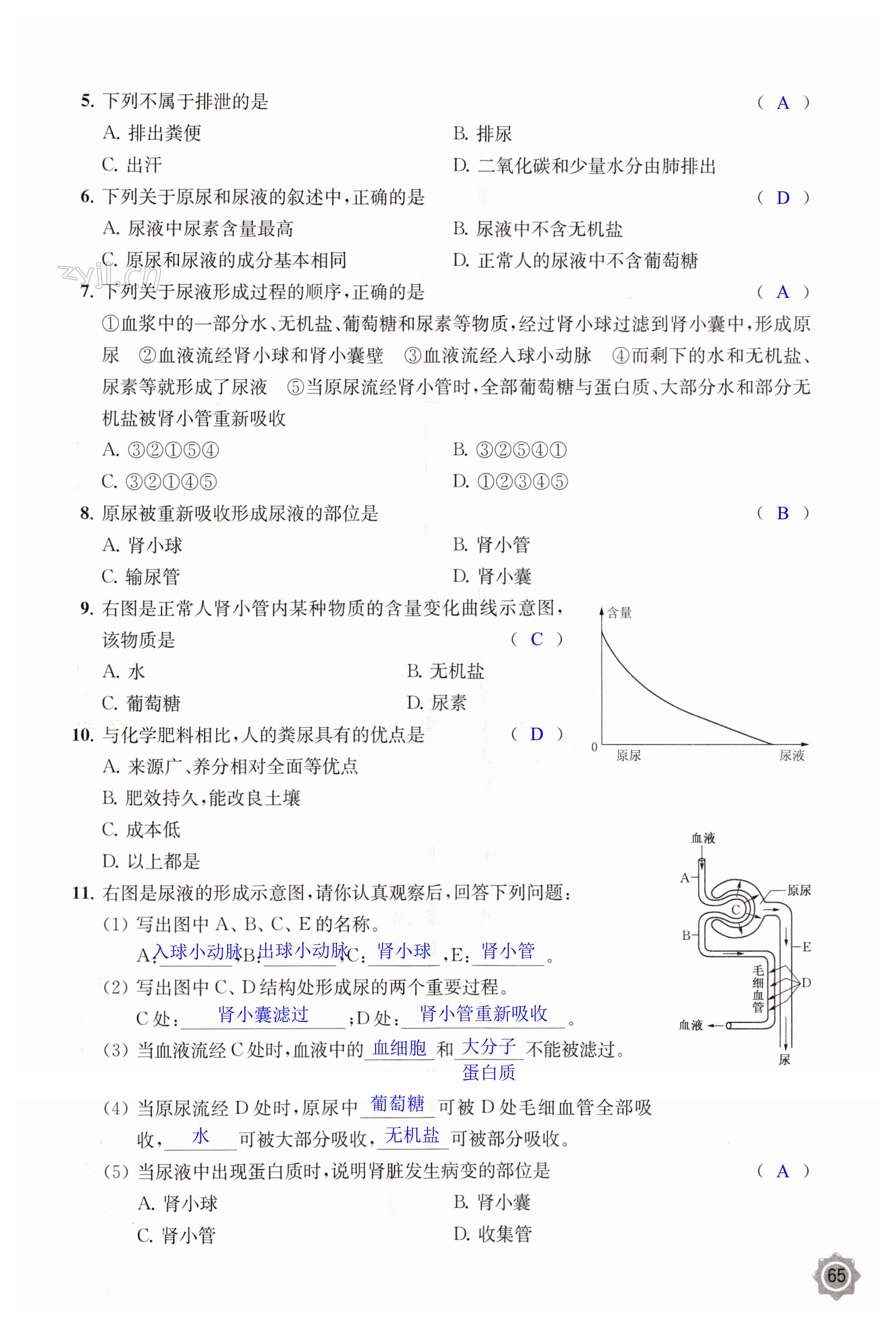 第65页