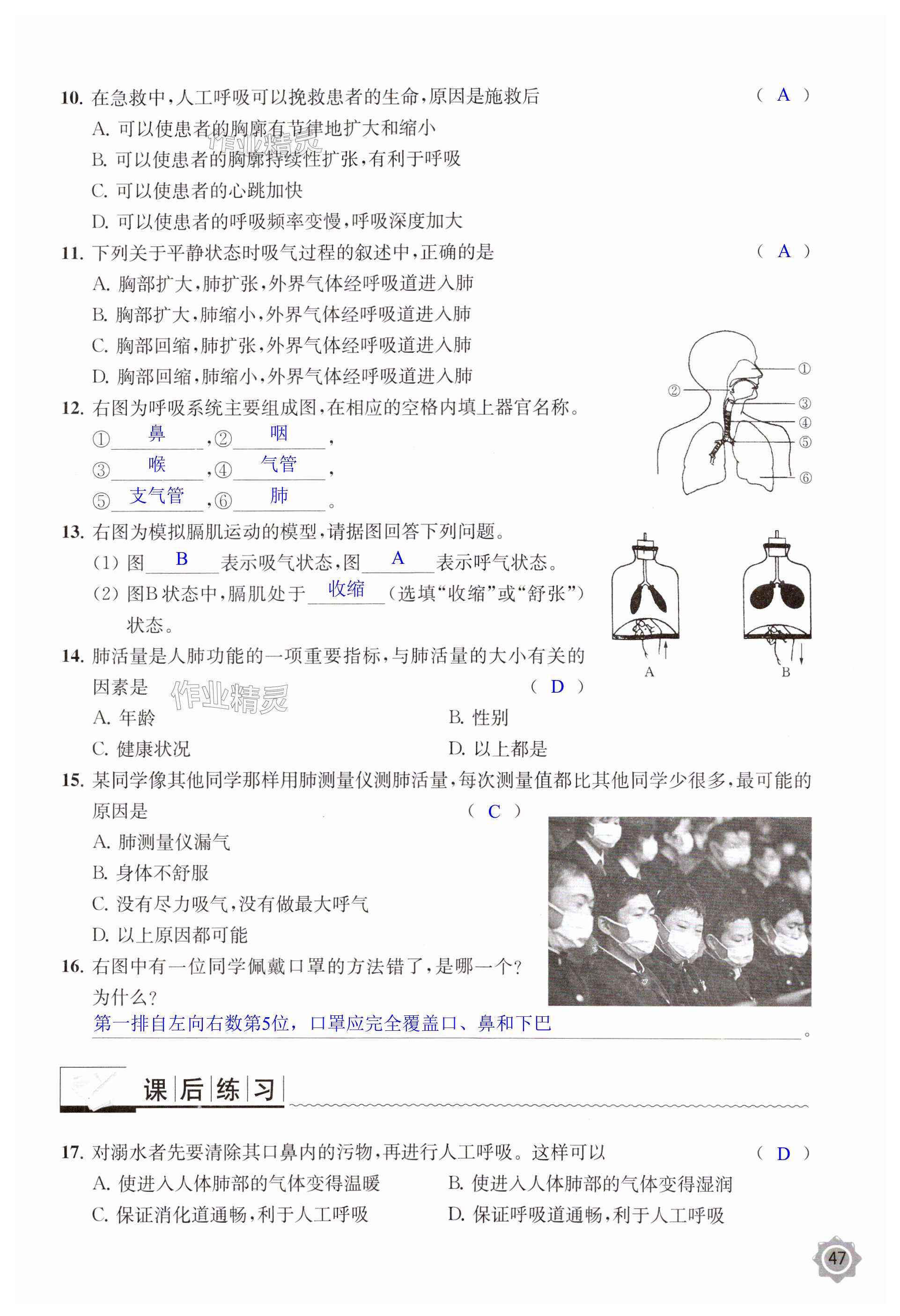 第47頁(yè)