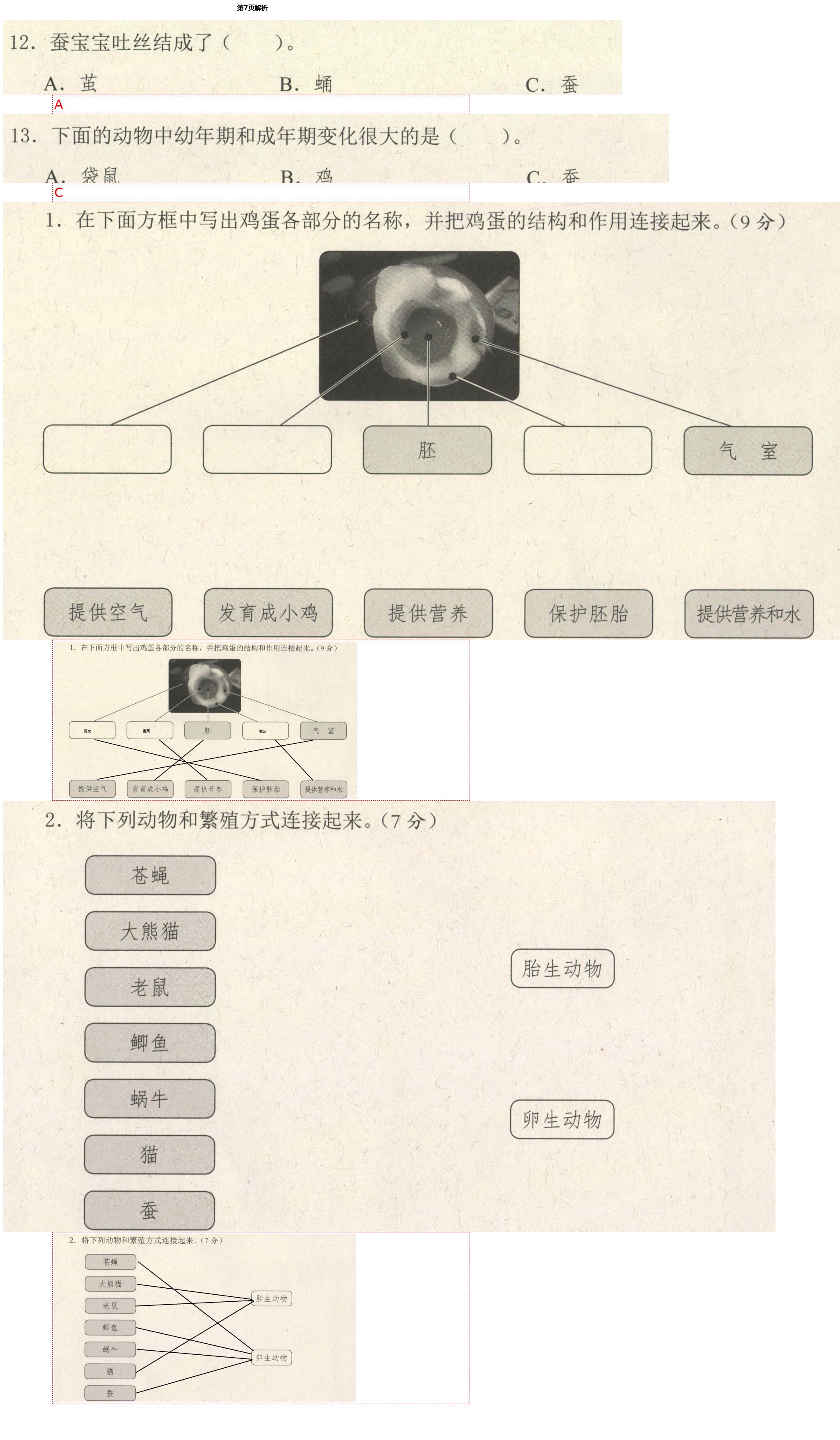 2021年学而晋三年级科学下册教科版&nbsp;第7页