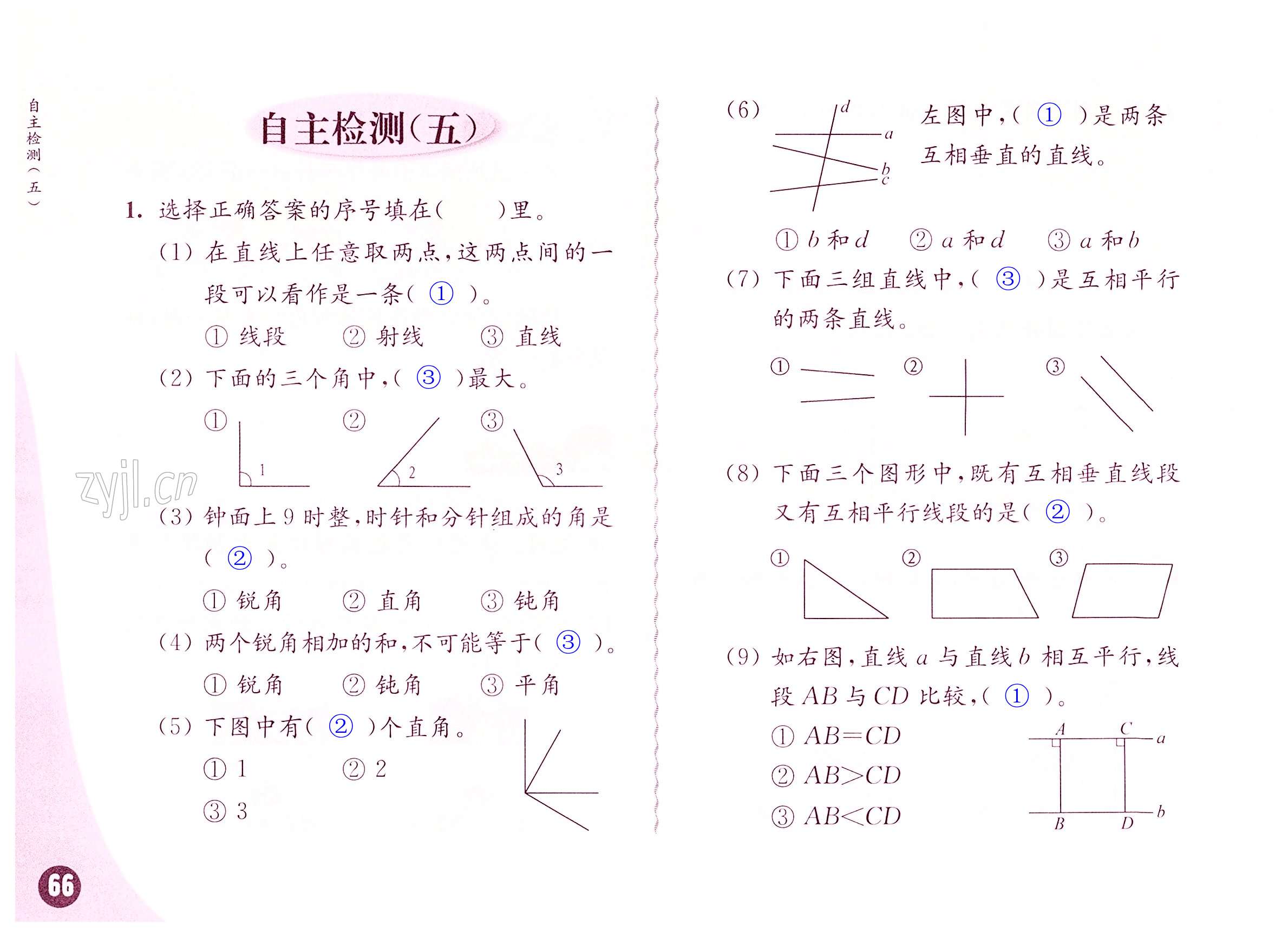 第66頁