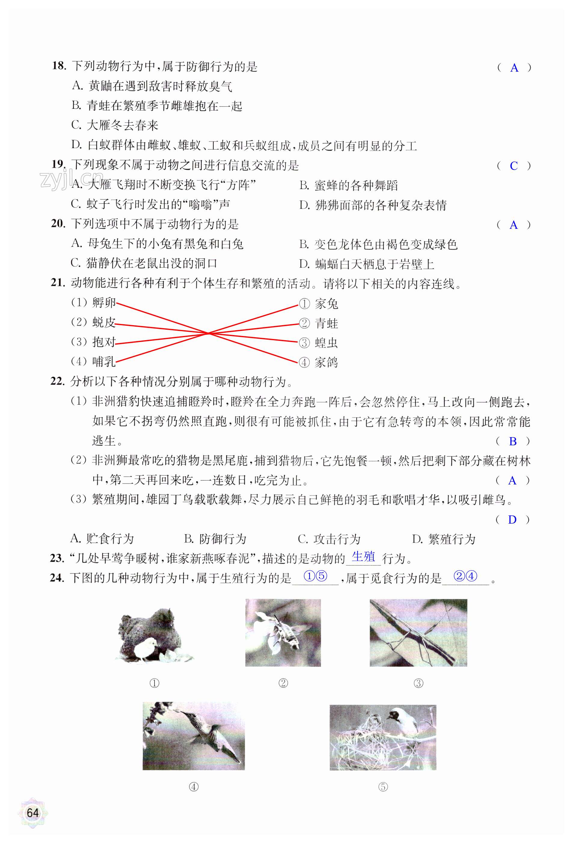 第64页