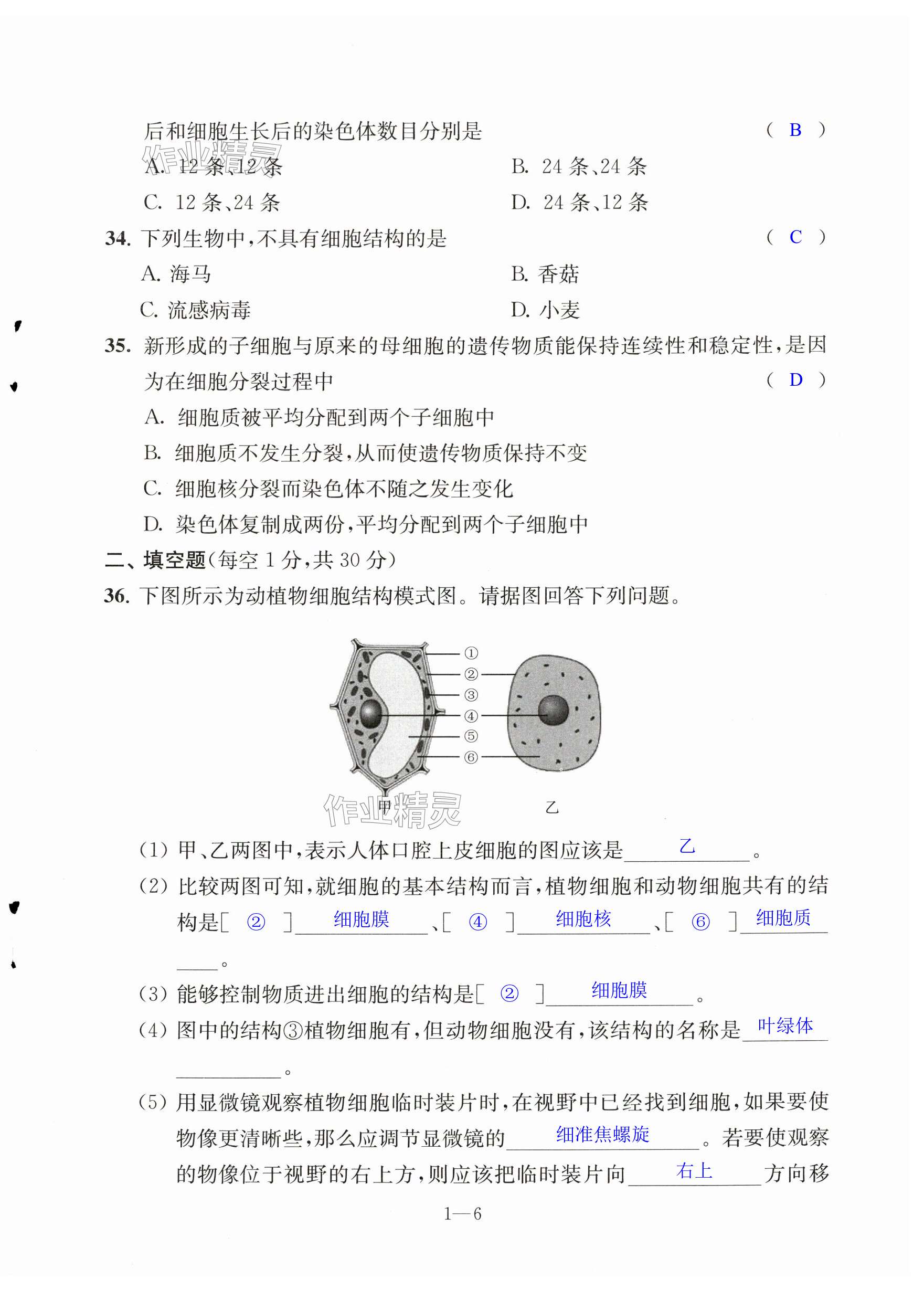 第6页